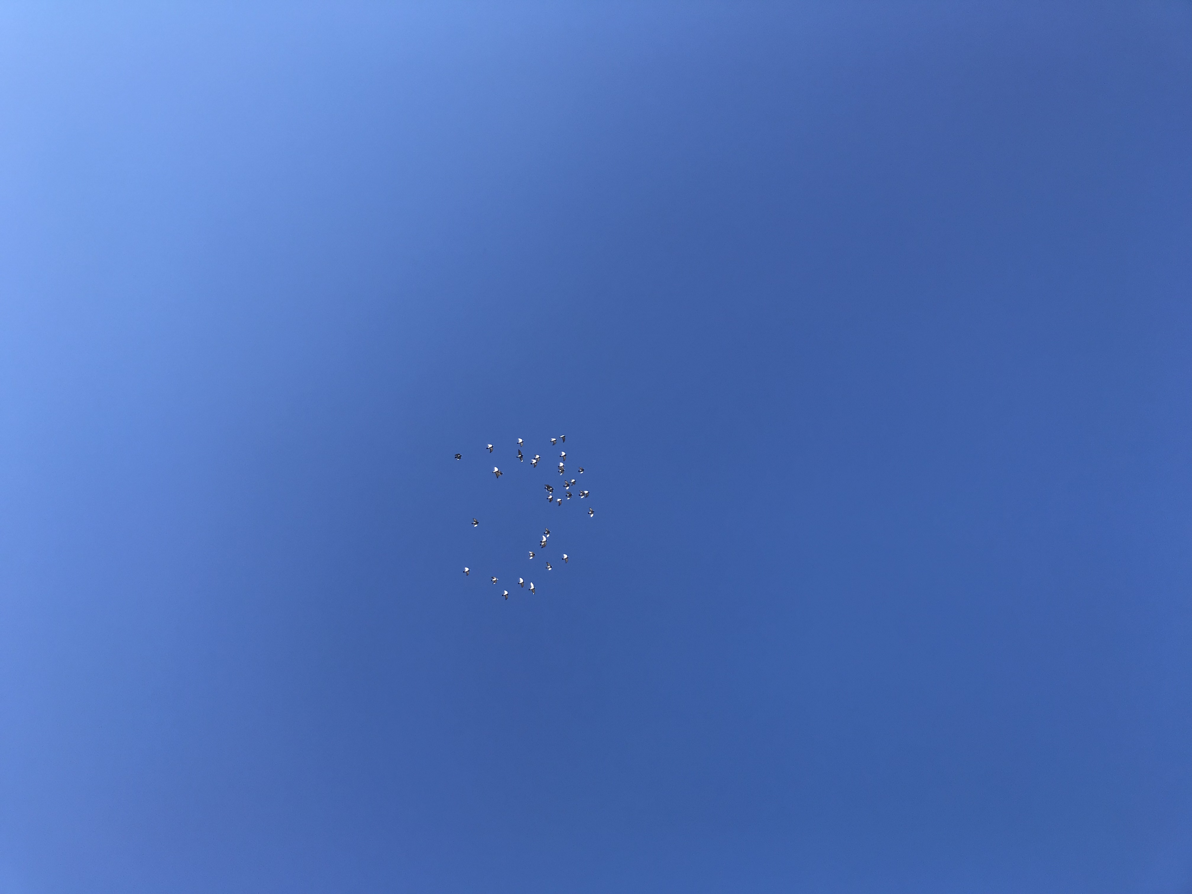 1222/1 1222/1
