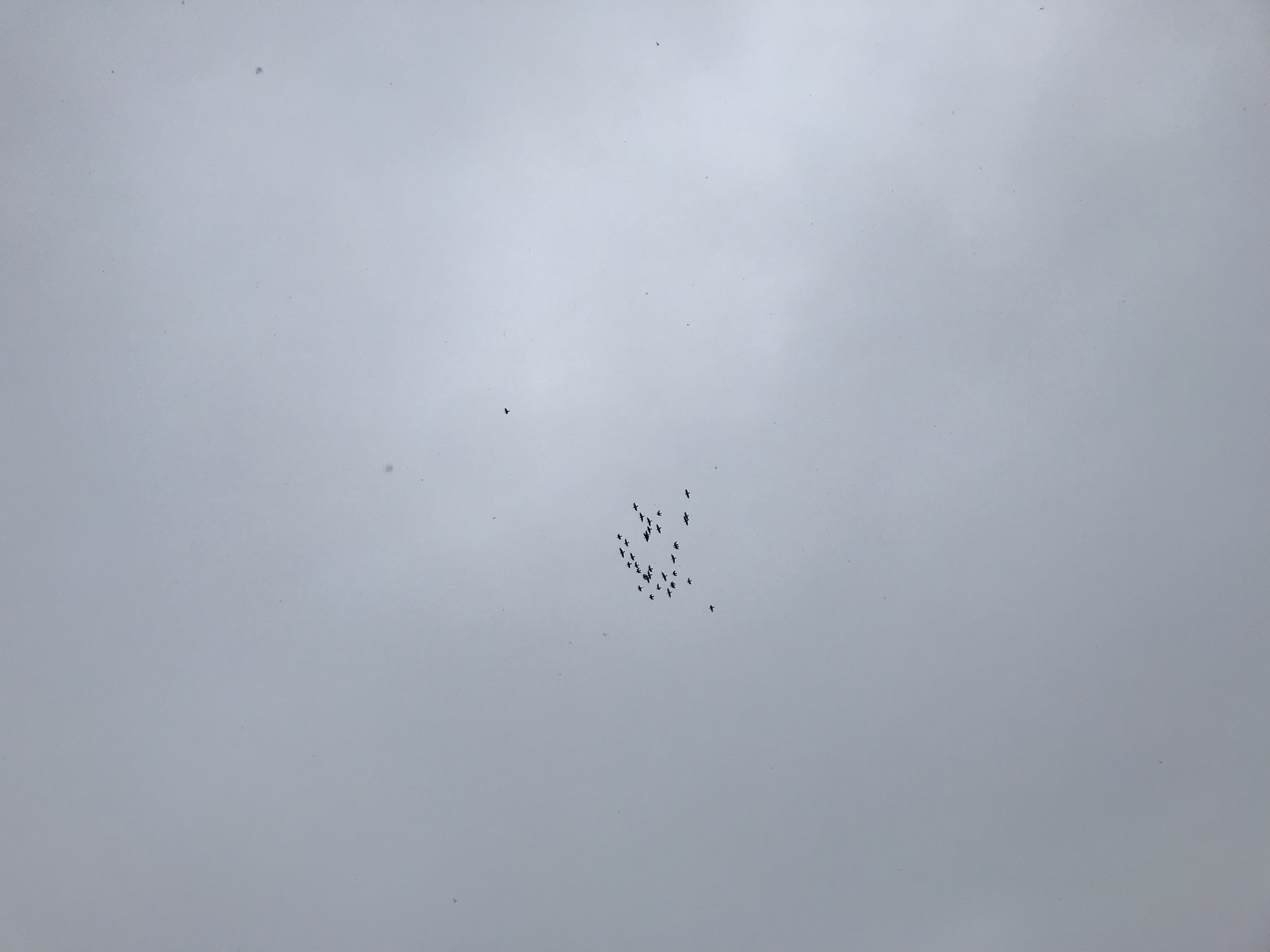 0106/1 0106/1