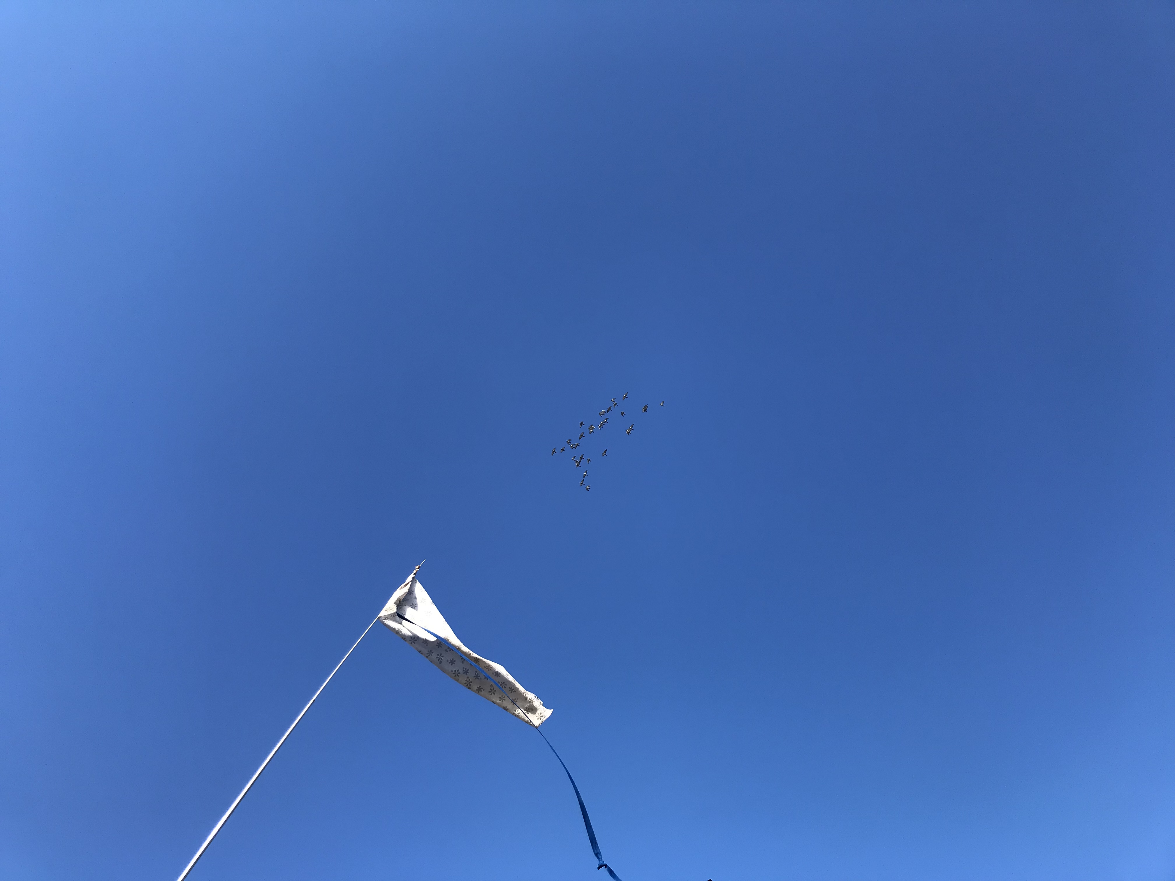 0109/1 0109/1