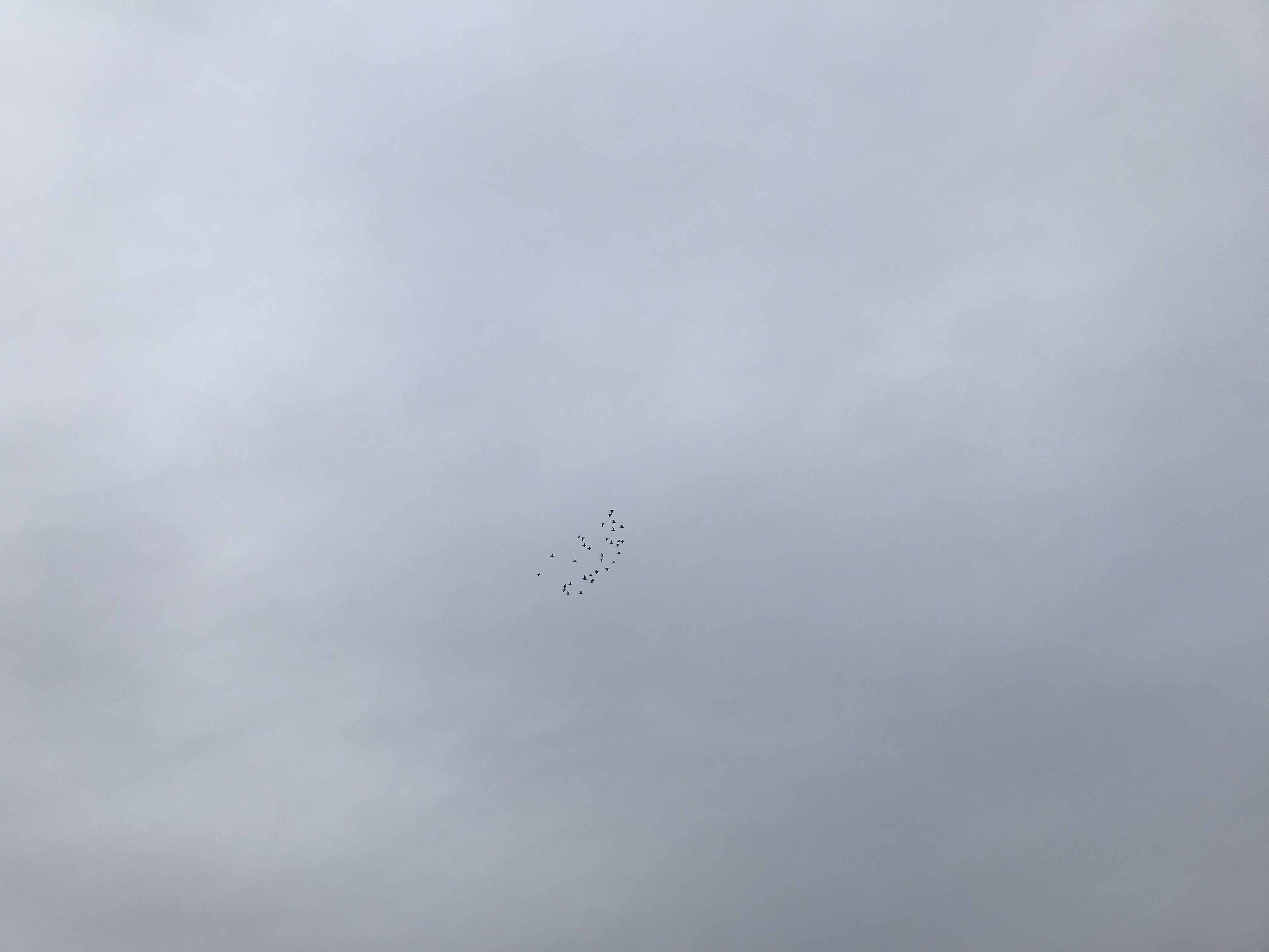 0111/1 0111/1