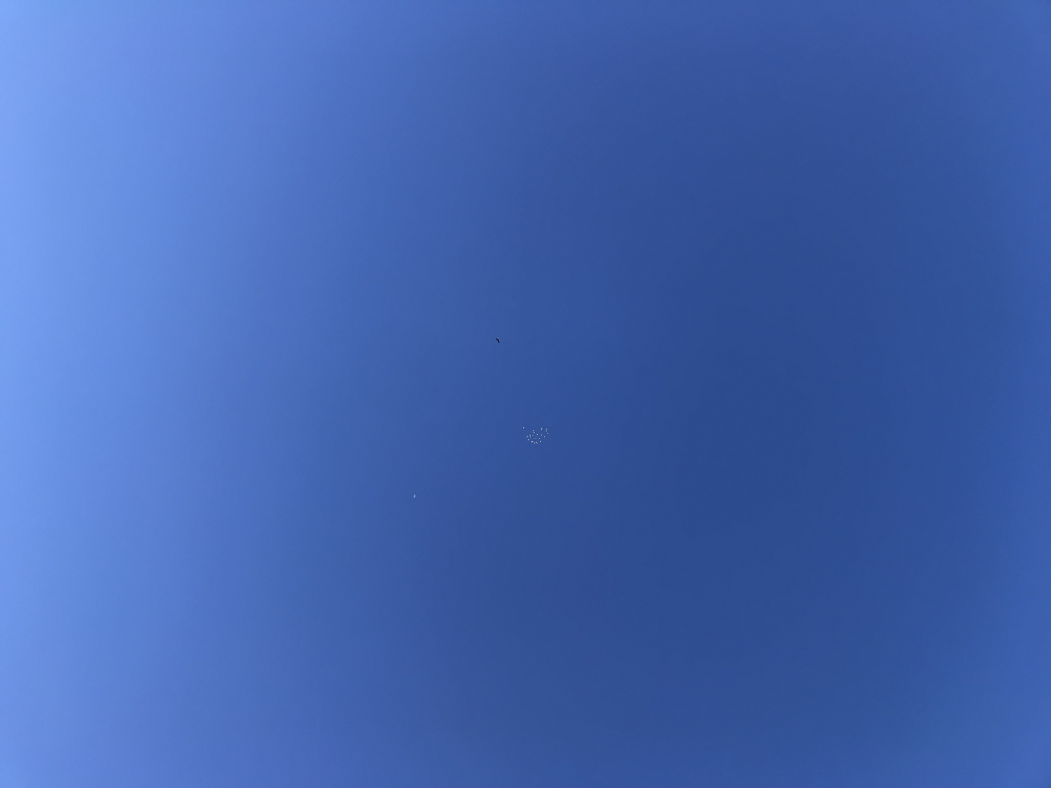 0114/2 0114/2
