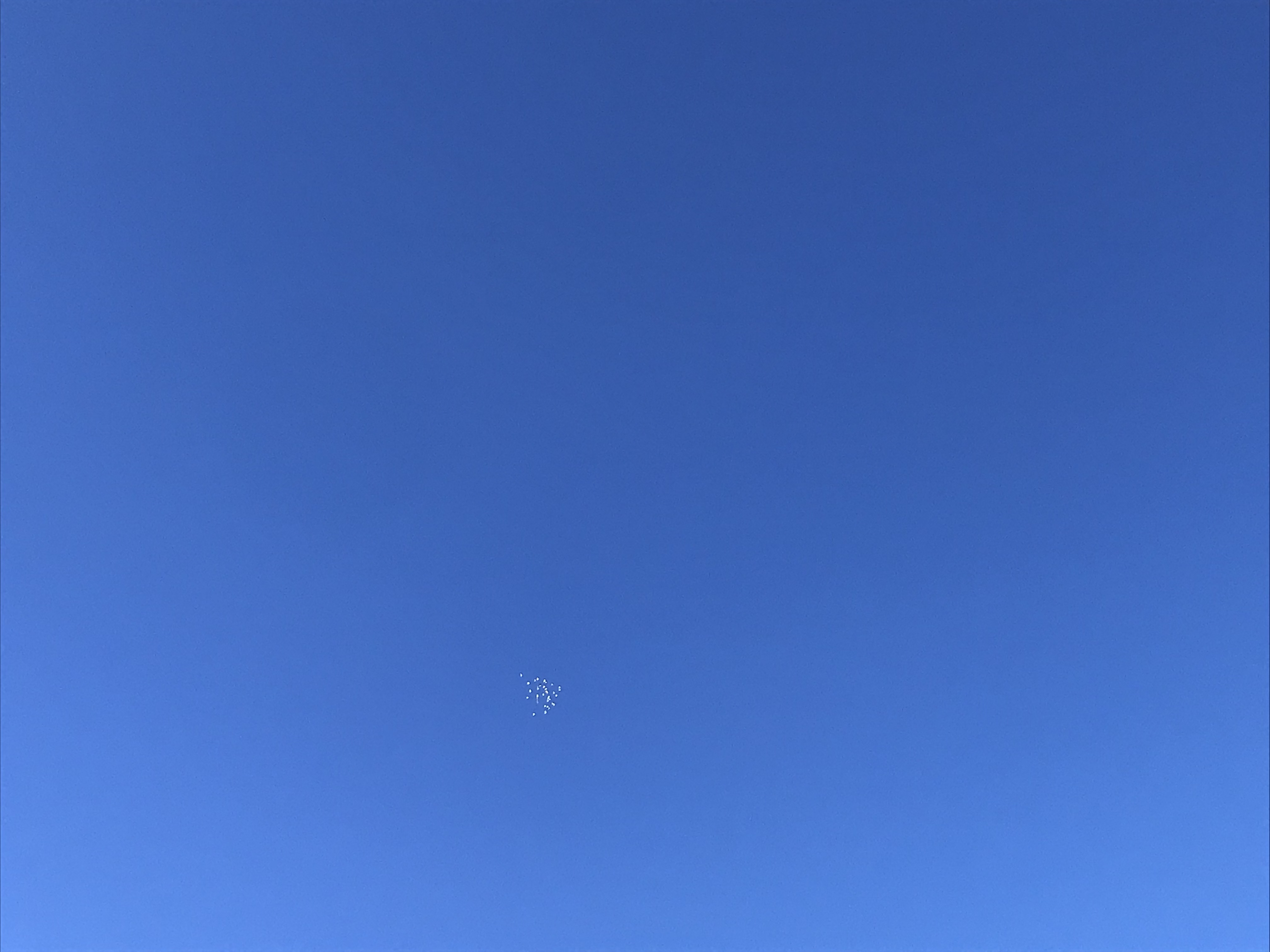 0118/1 0118/1
