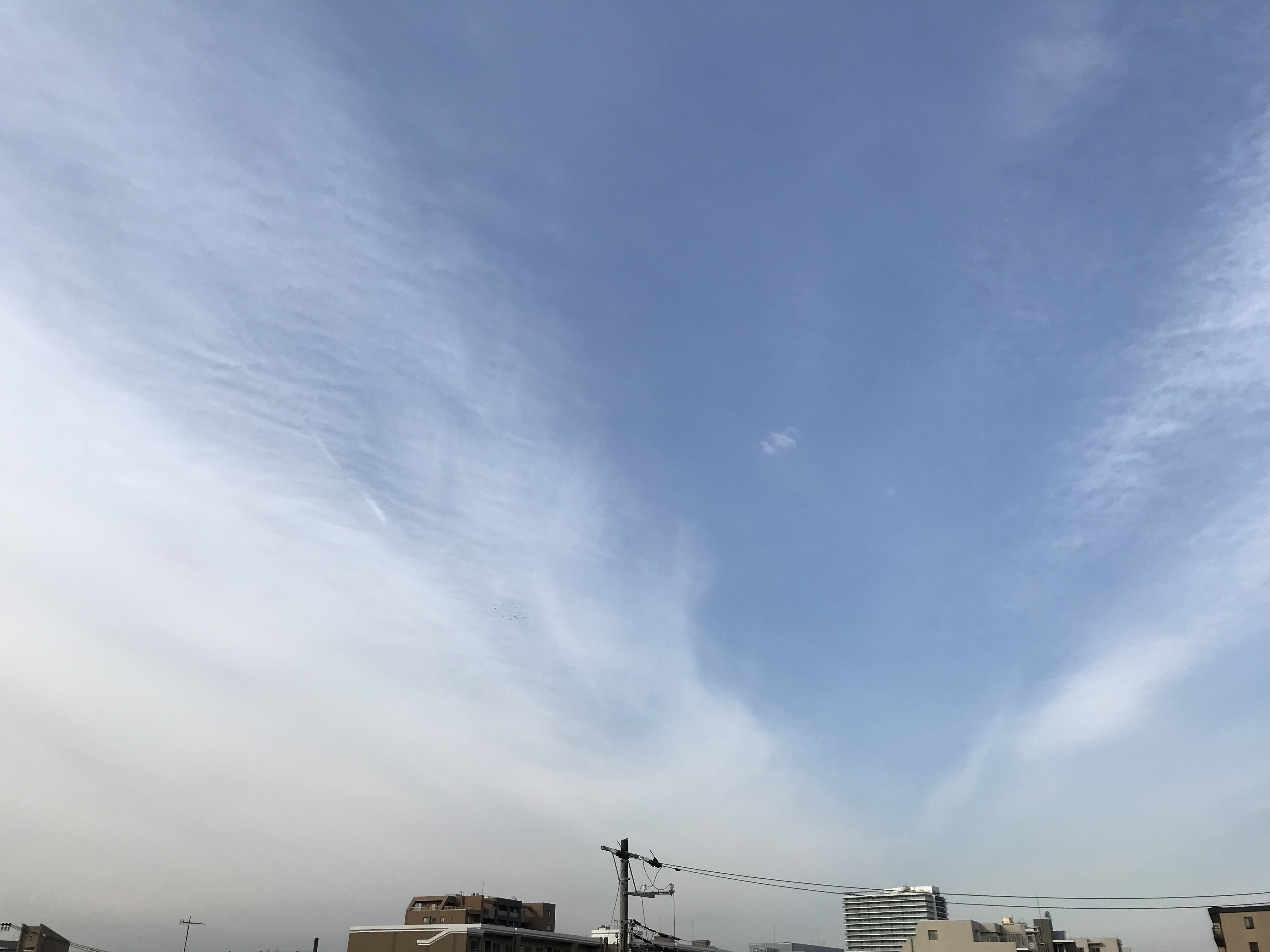 0203/1 0203/1
