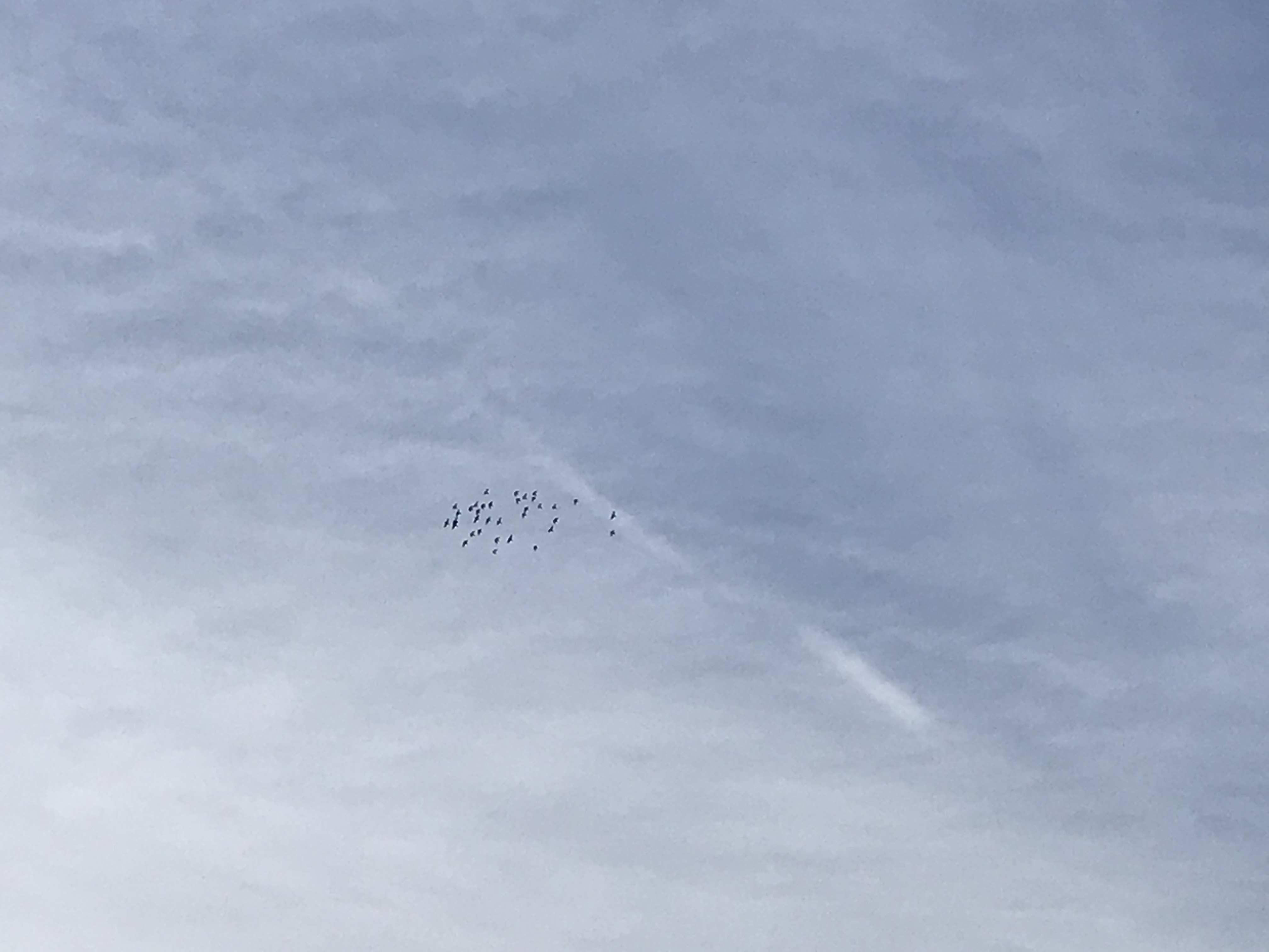 0203/2 0203/2
