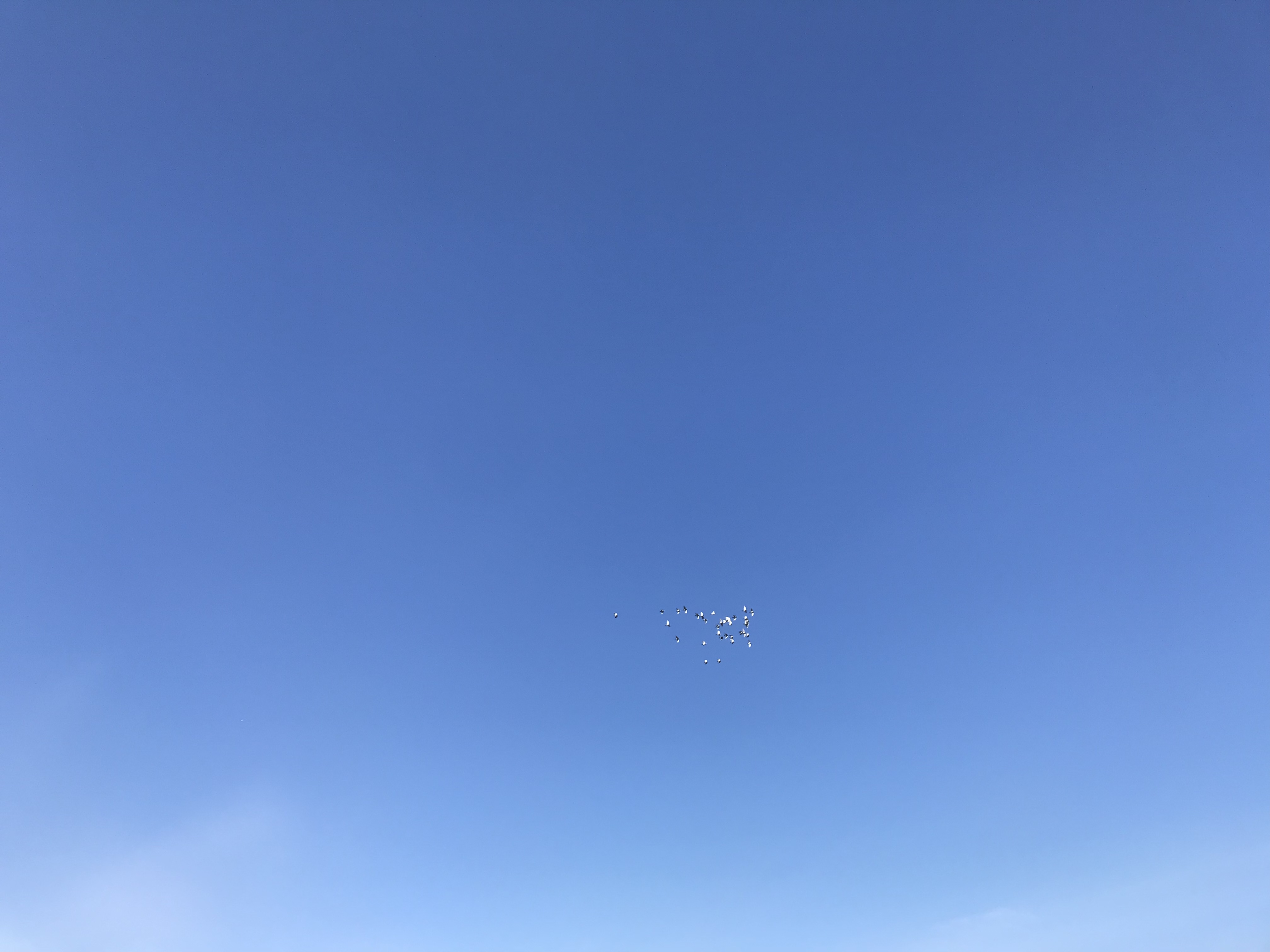 0212/1 0212/1