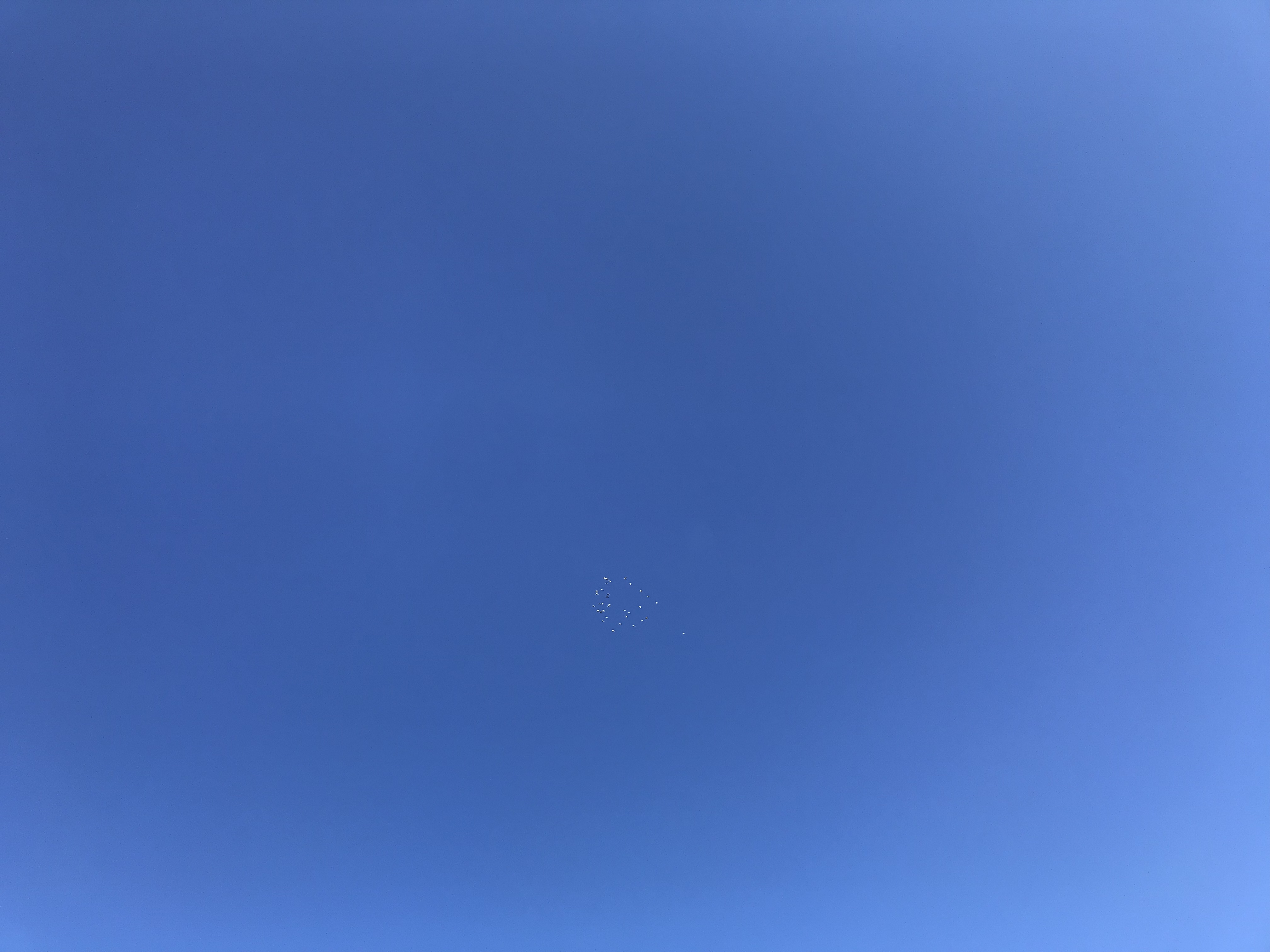 0226/1 0226/1