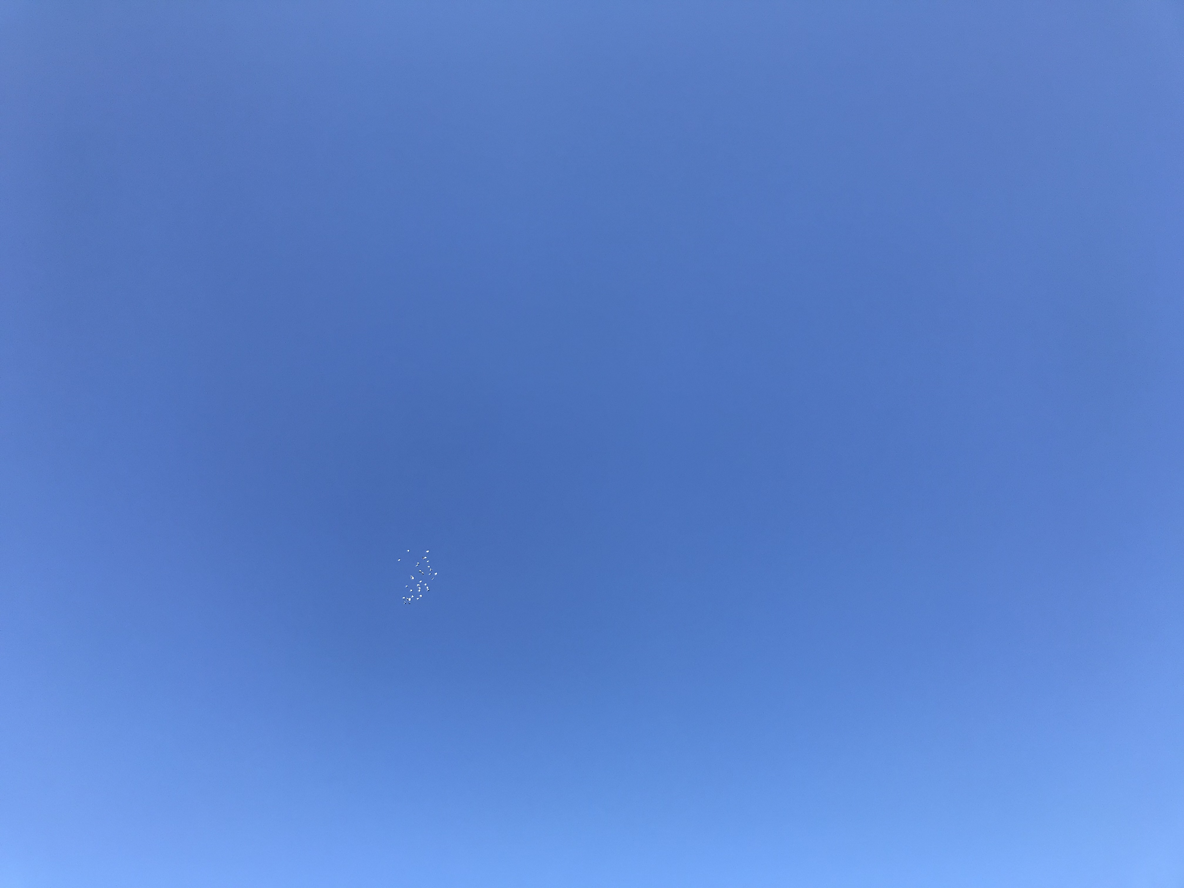 0228/1 0228/1