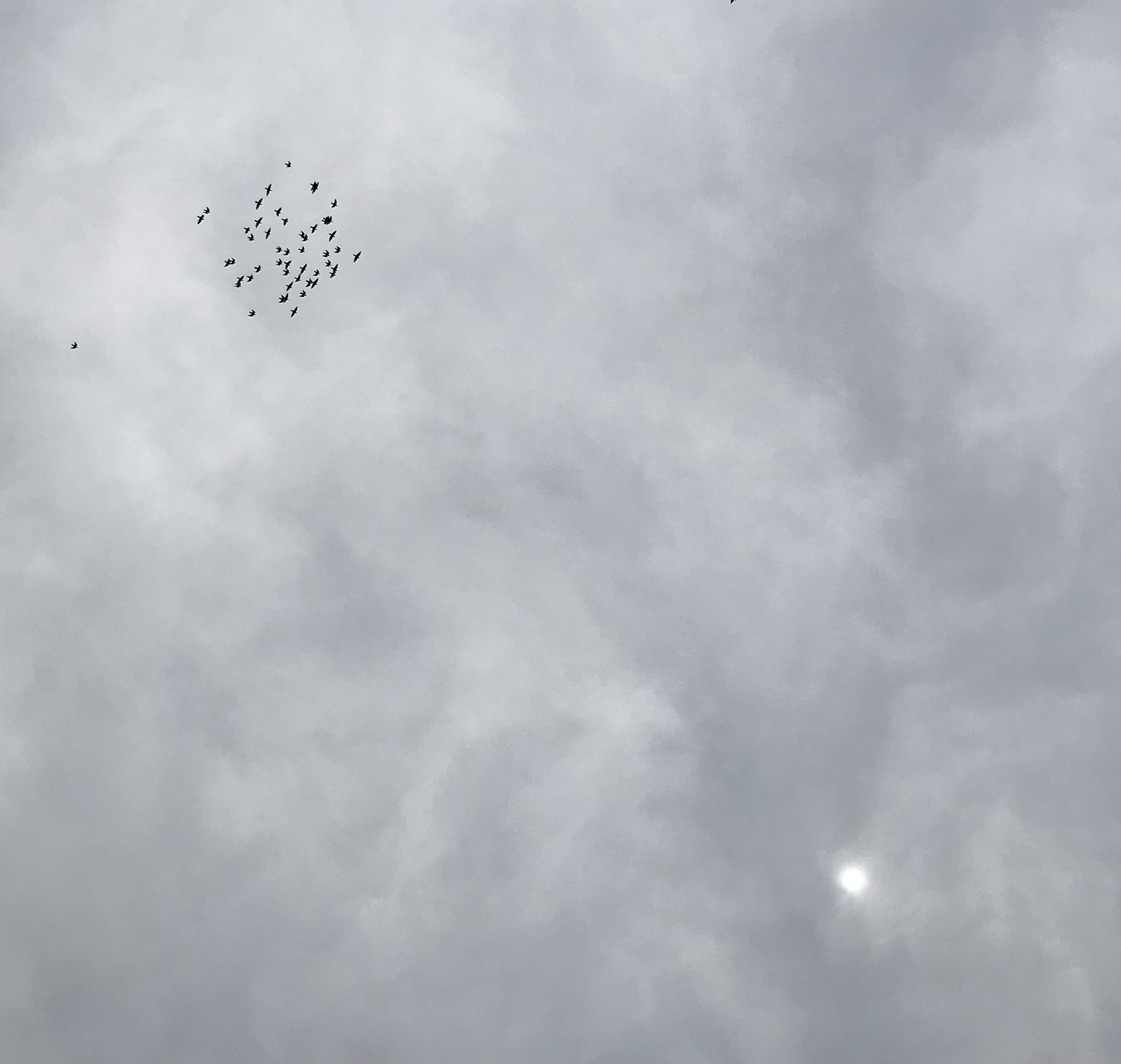 0617/2 0617/2
