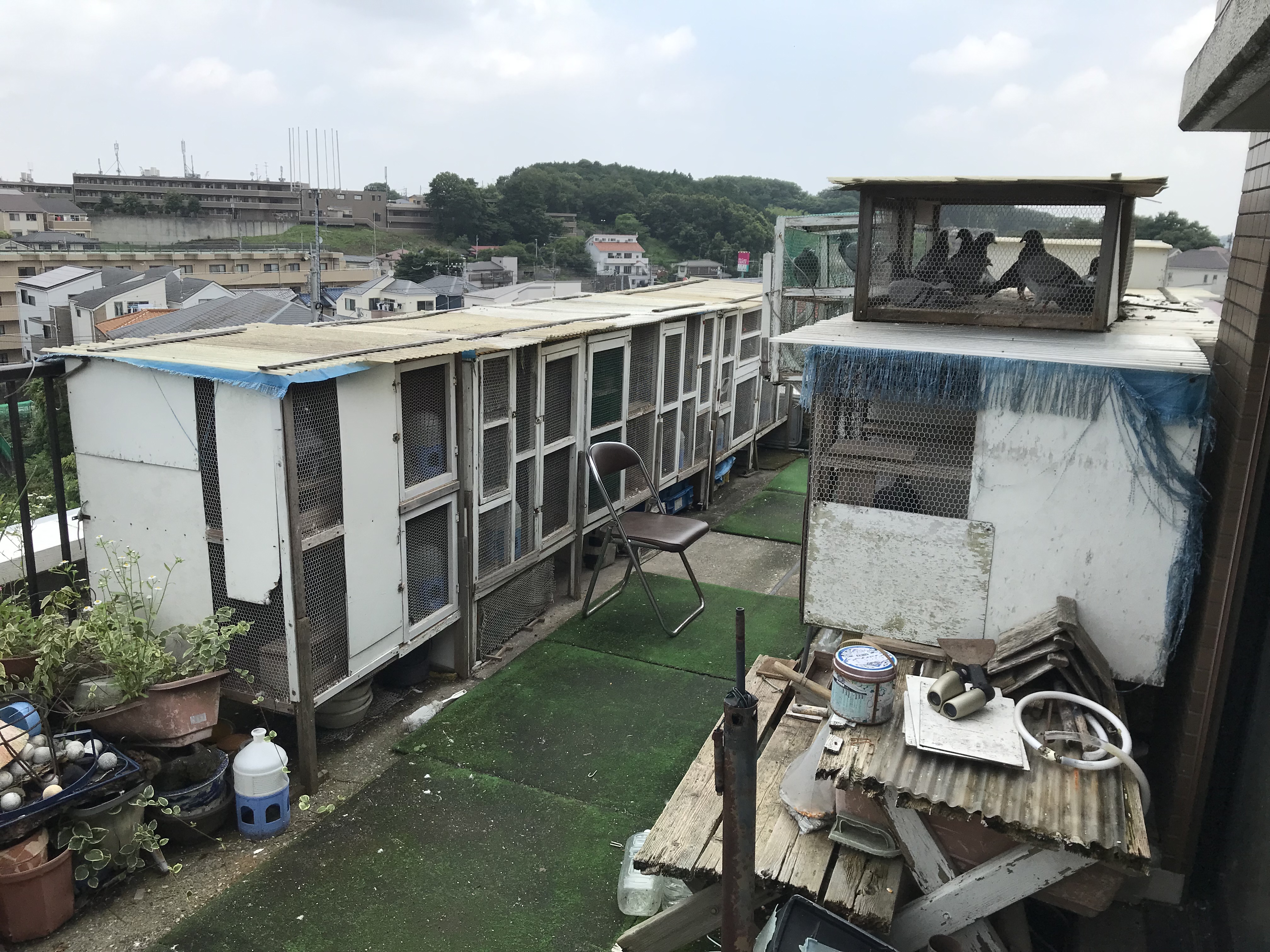 徳原4 徳原4