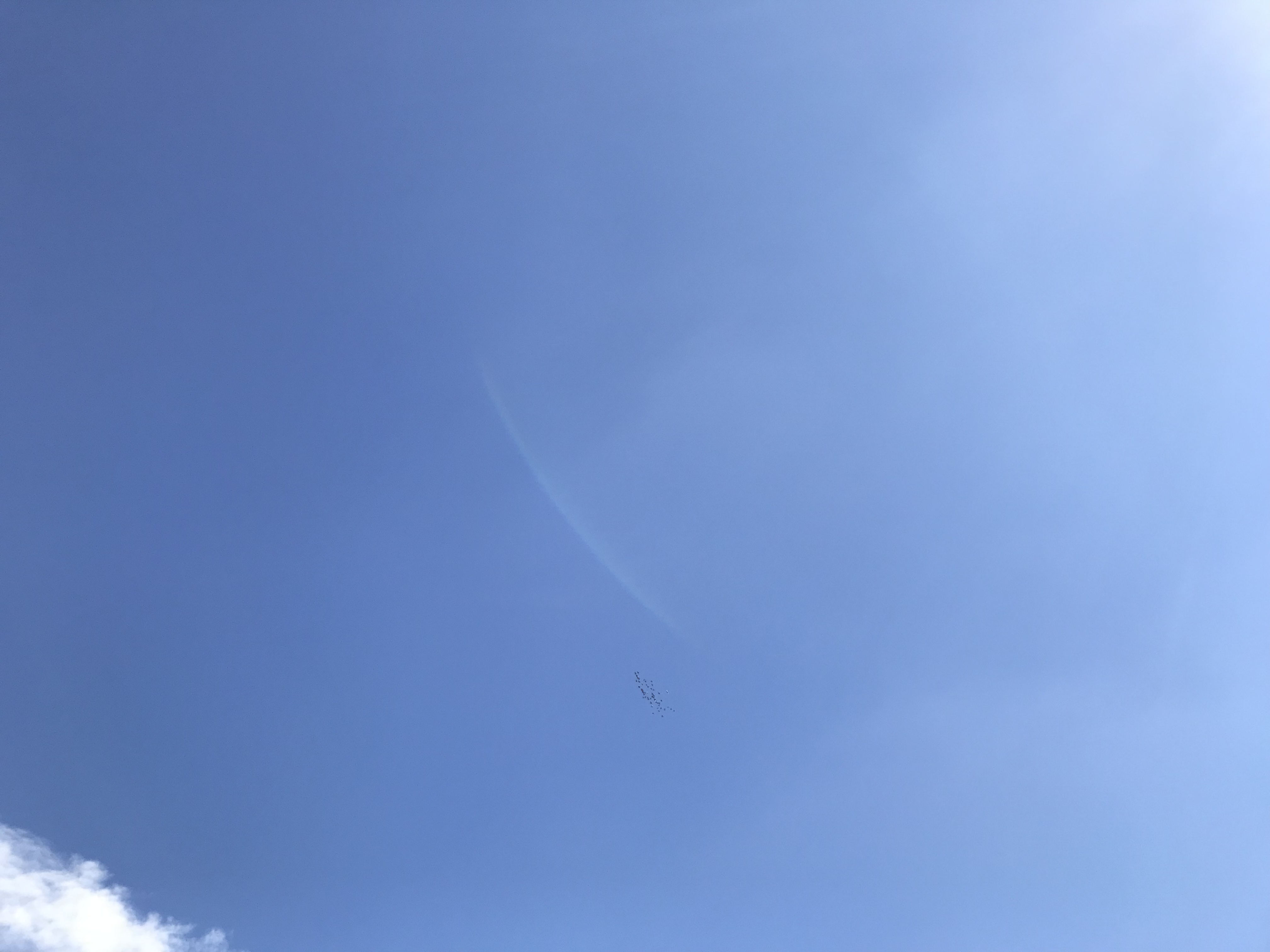 0626/3 0626/3