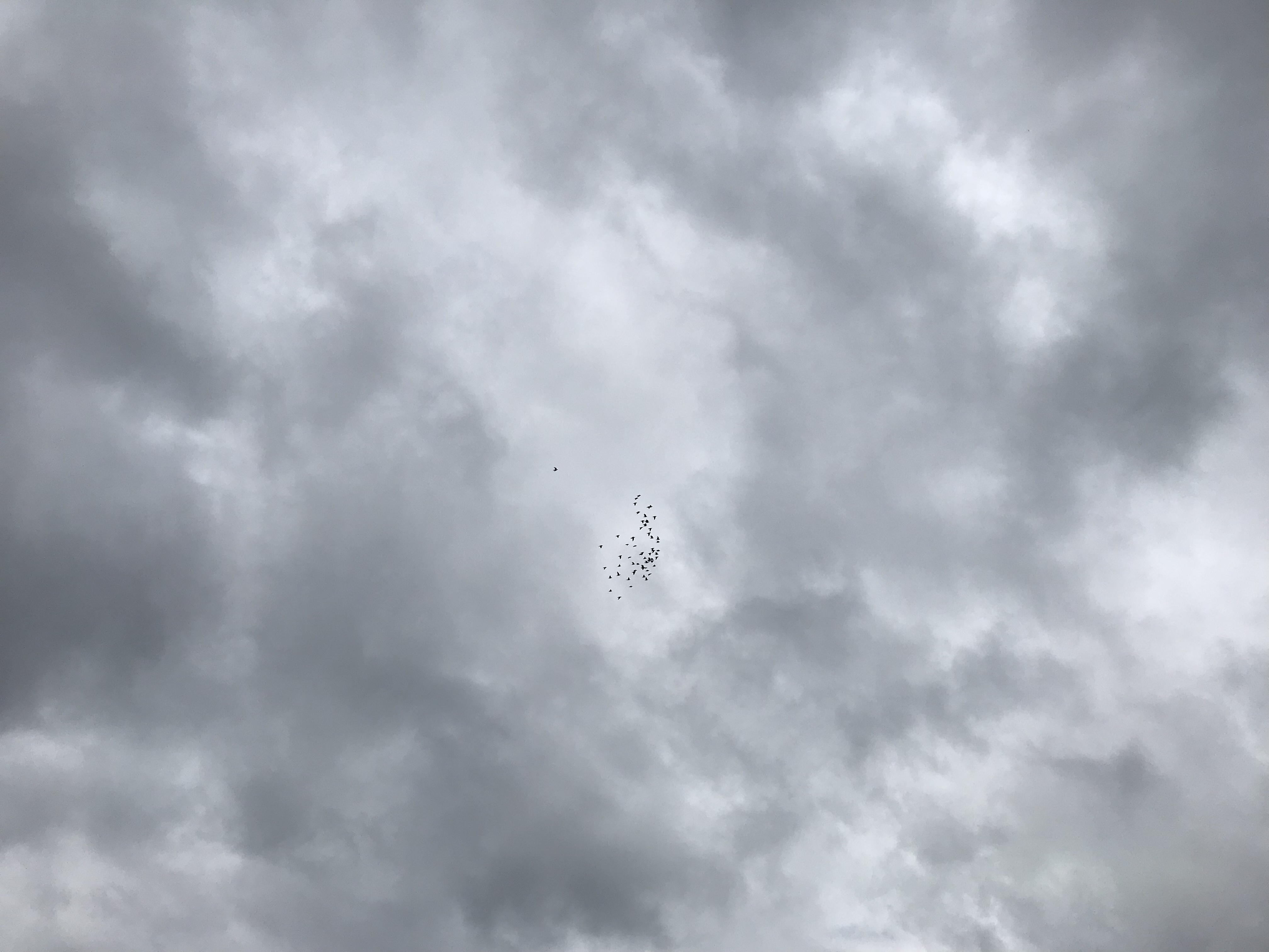 0707/1 0707/1
