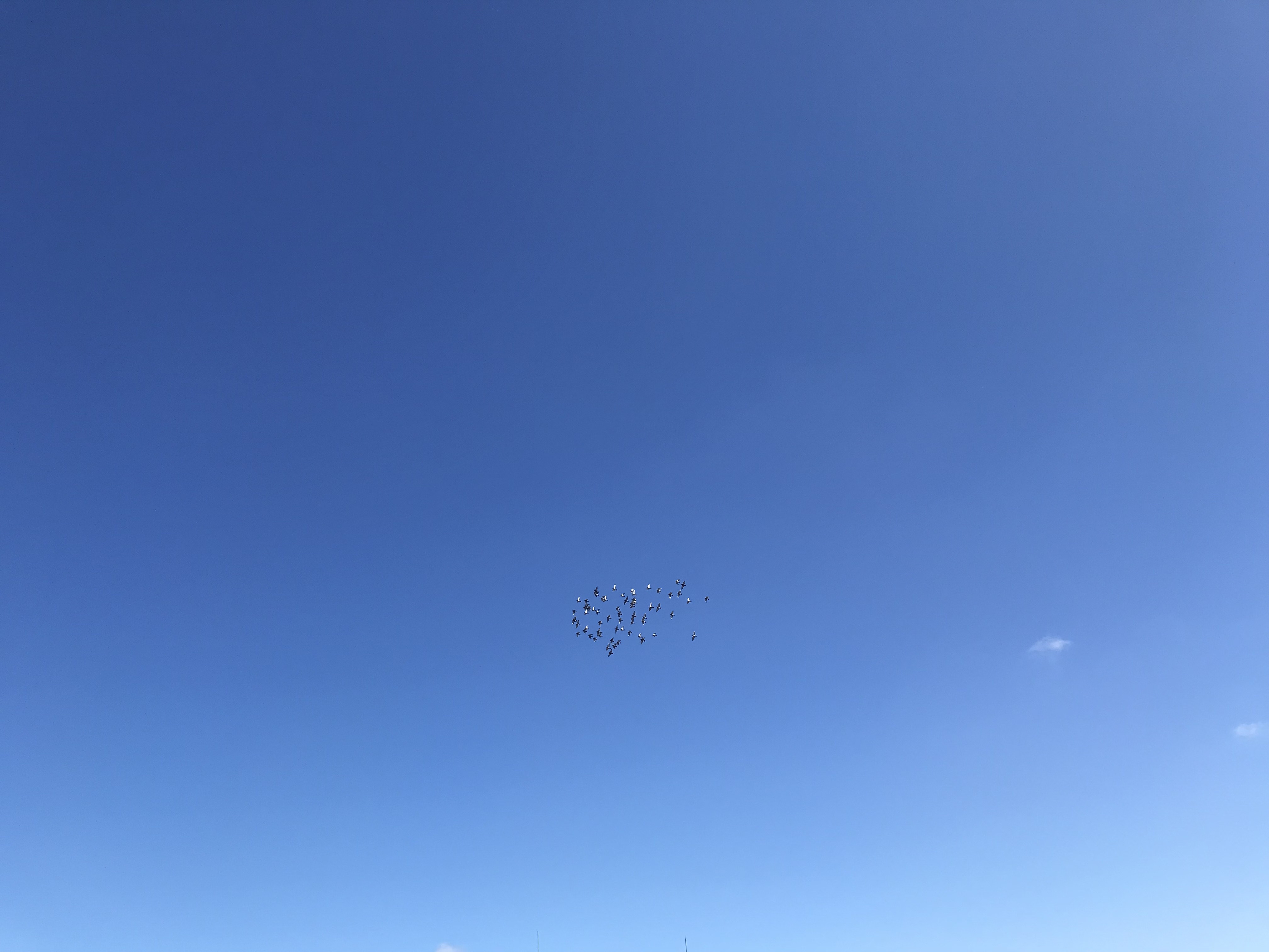 0730/1