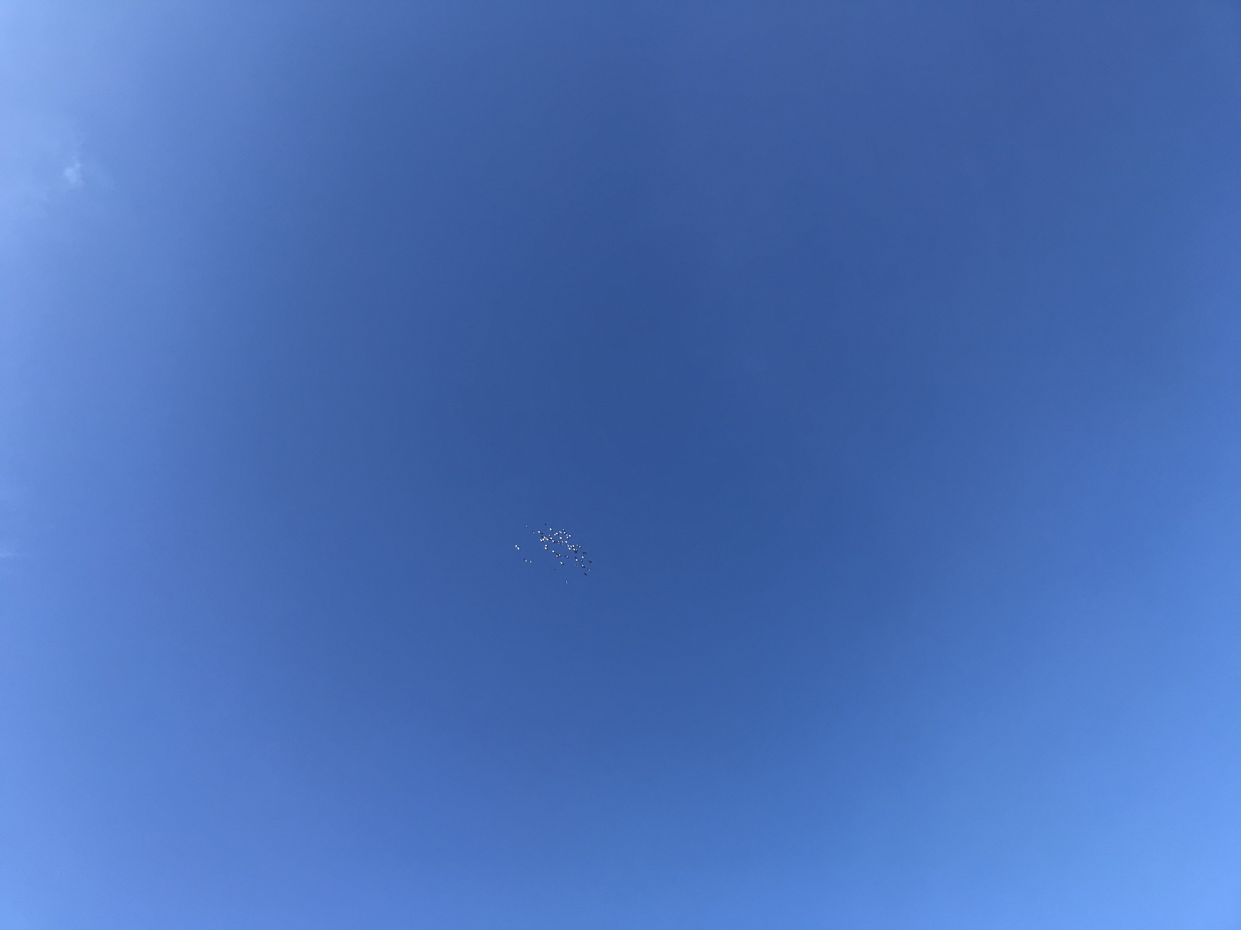0810/2