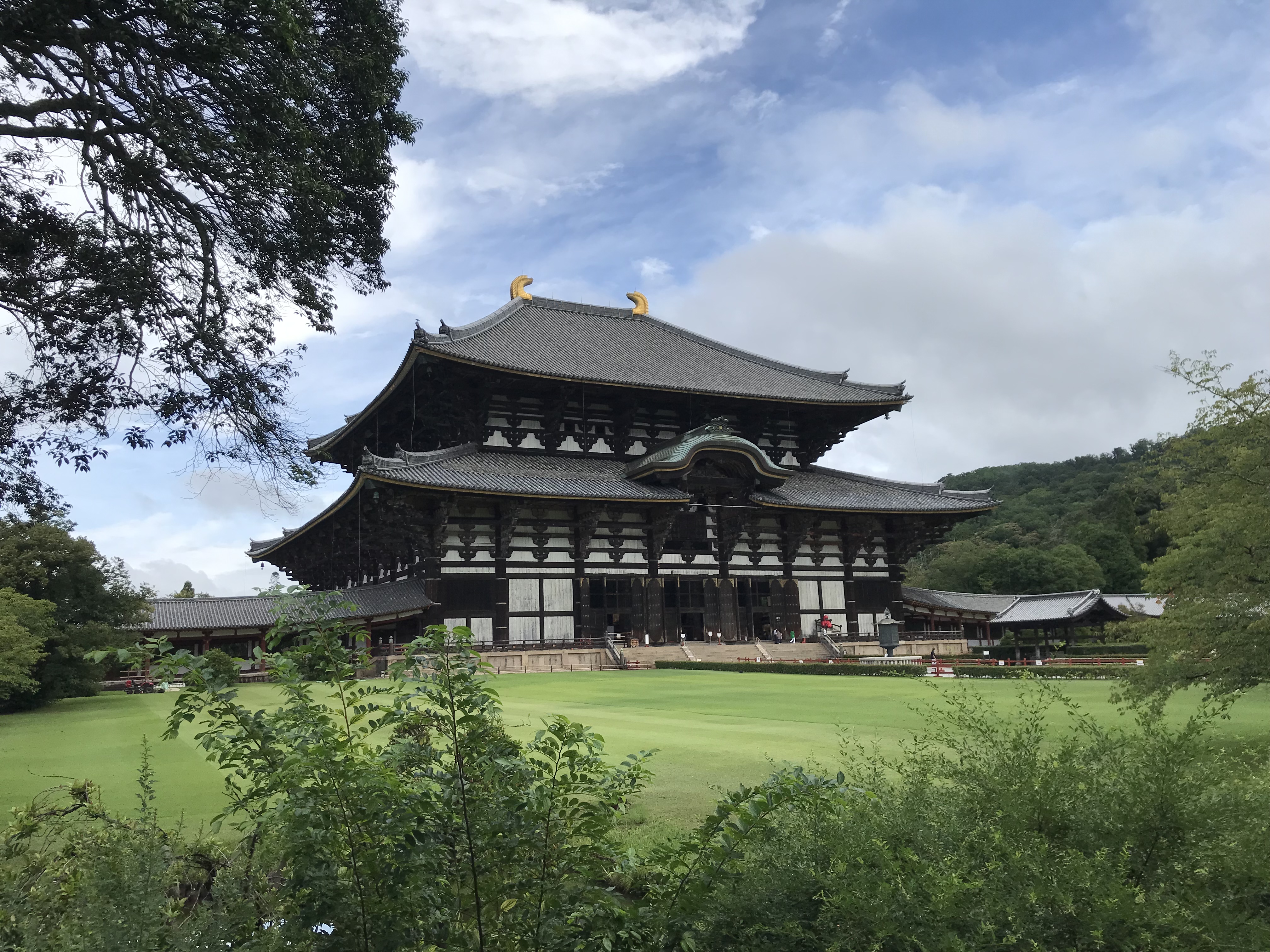 奈良公園 奈良公園