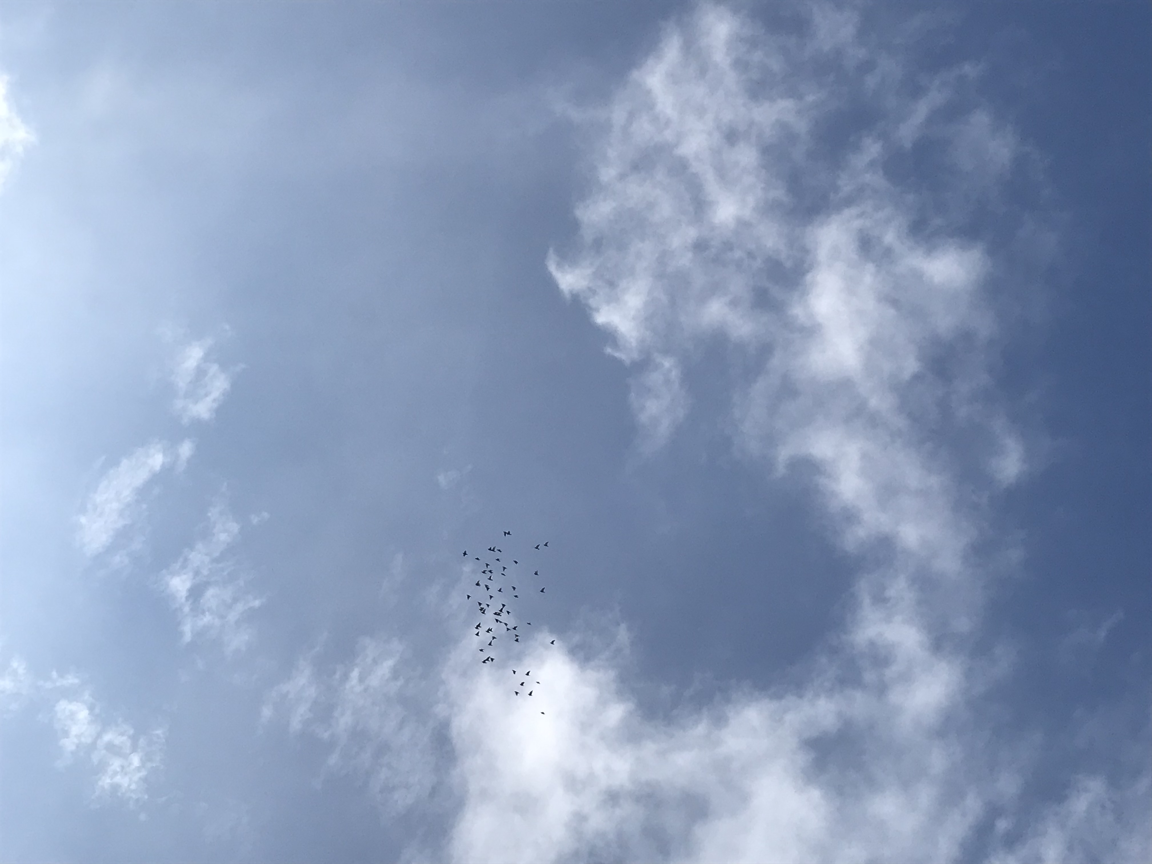 0904/2 0904/2