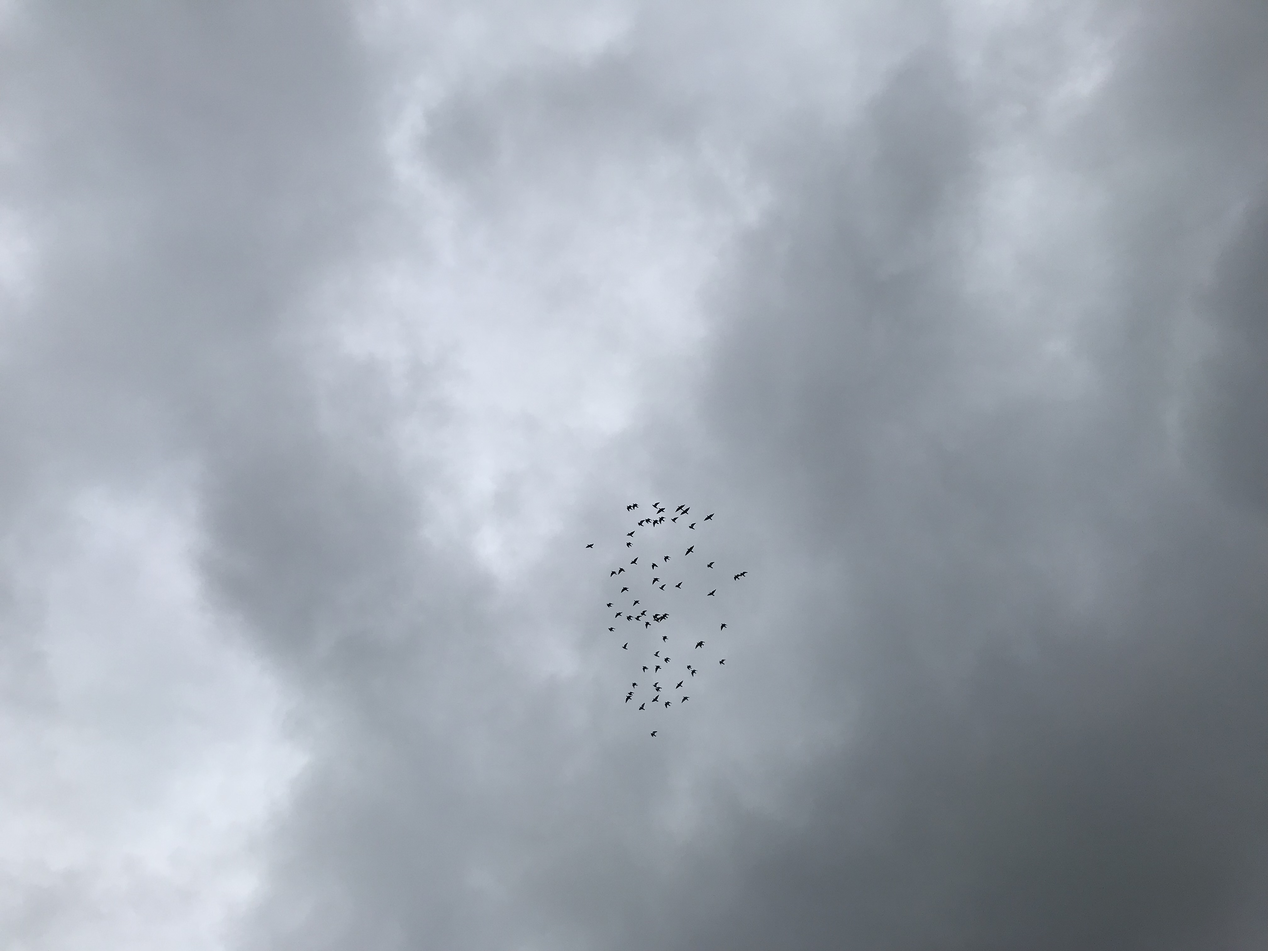 0907/1 0907/1