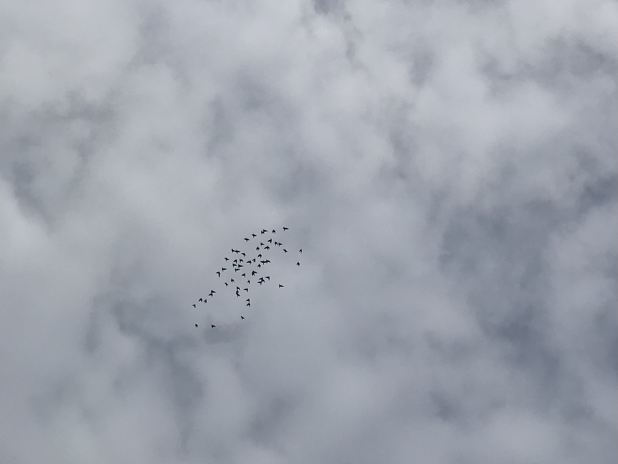 1003/1 1003/1