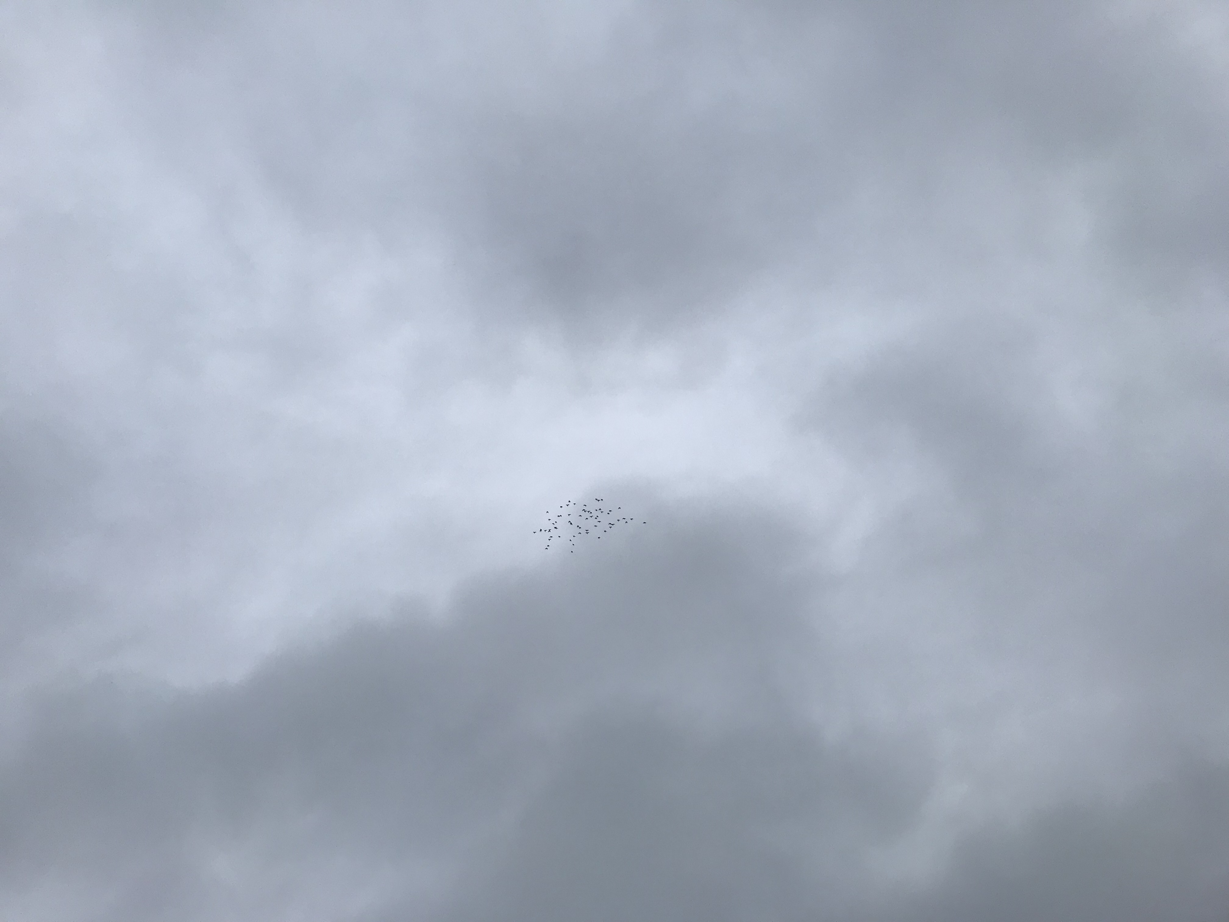 1010/2 1010/2