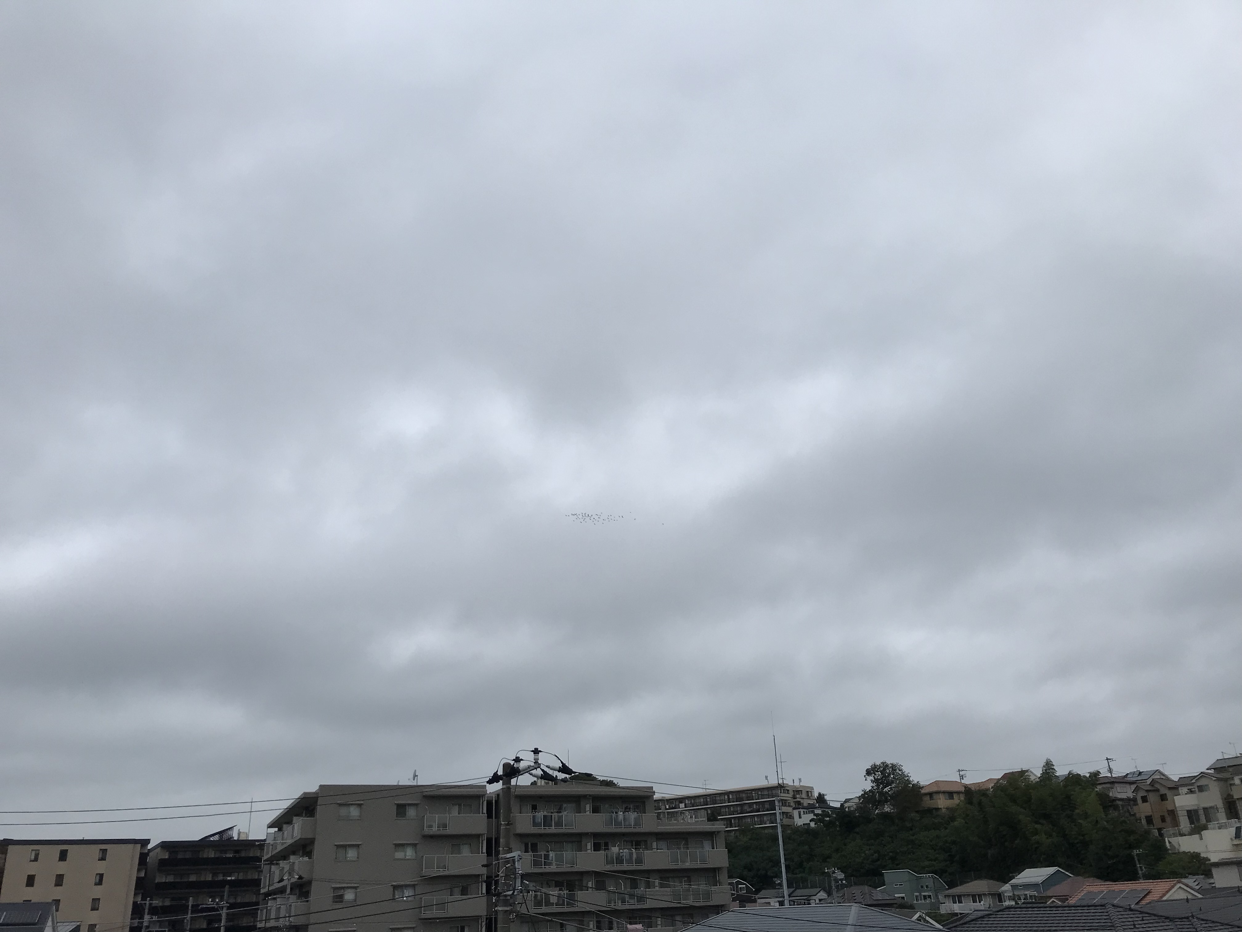 1010/3 1010/3