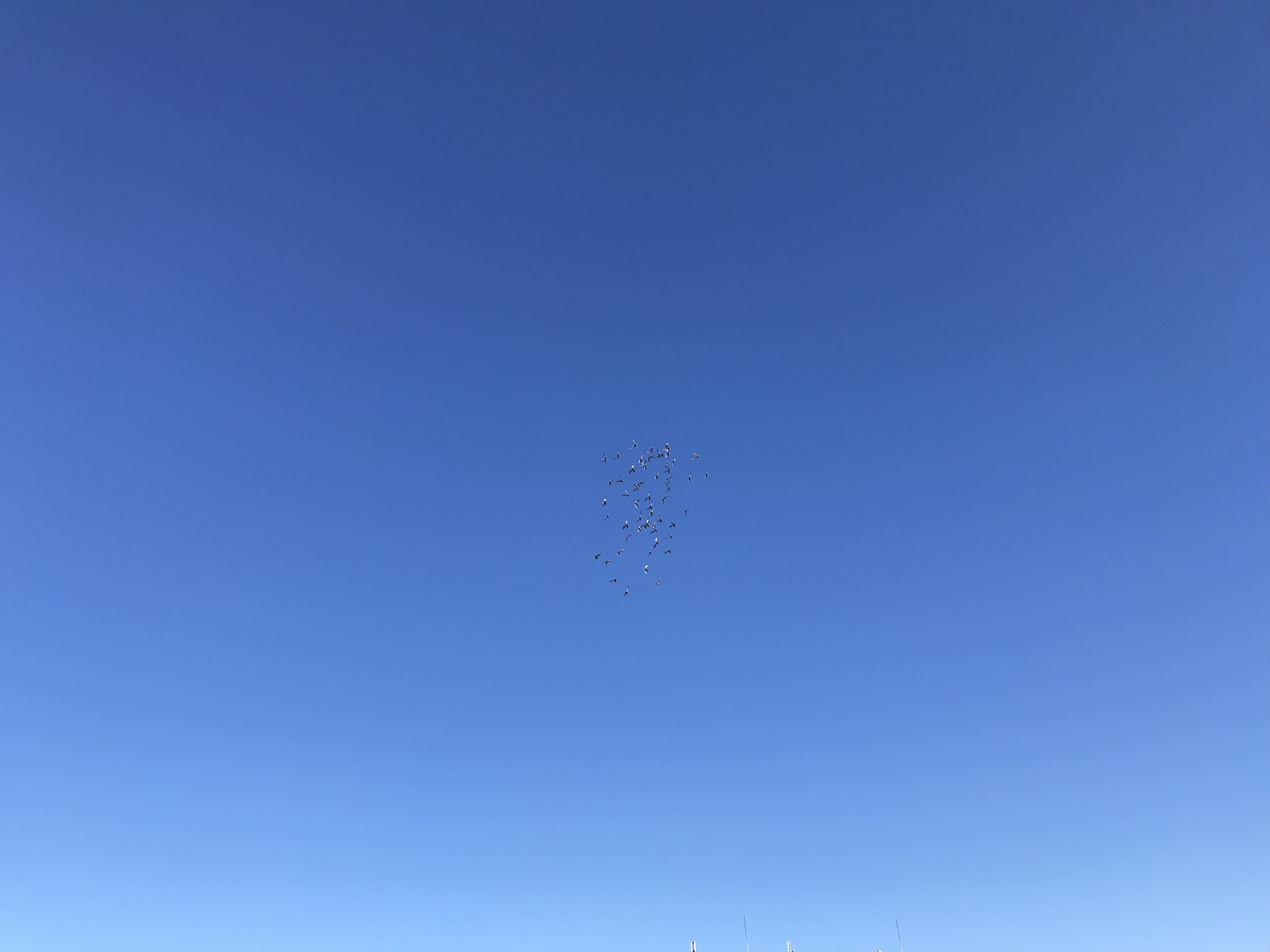 1020/2 1020/2