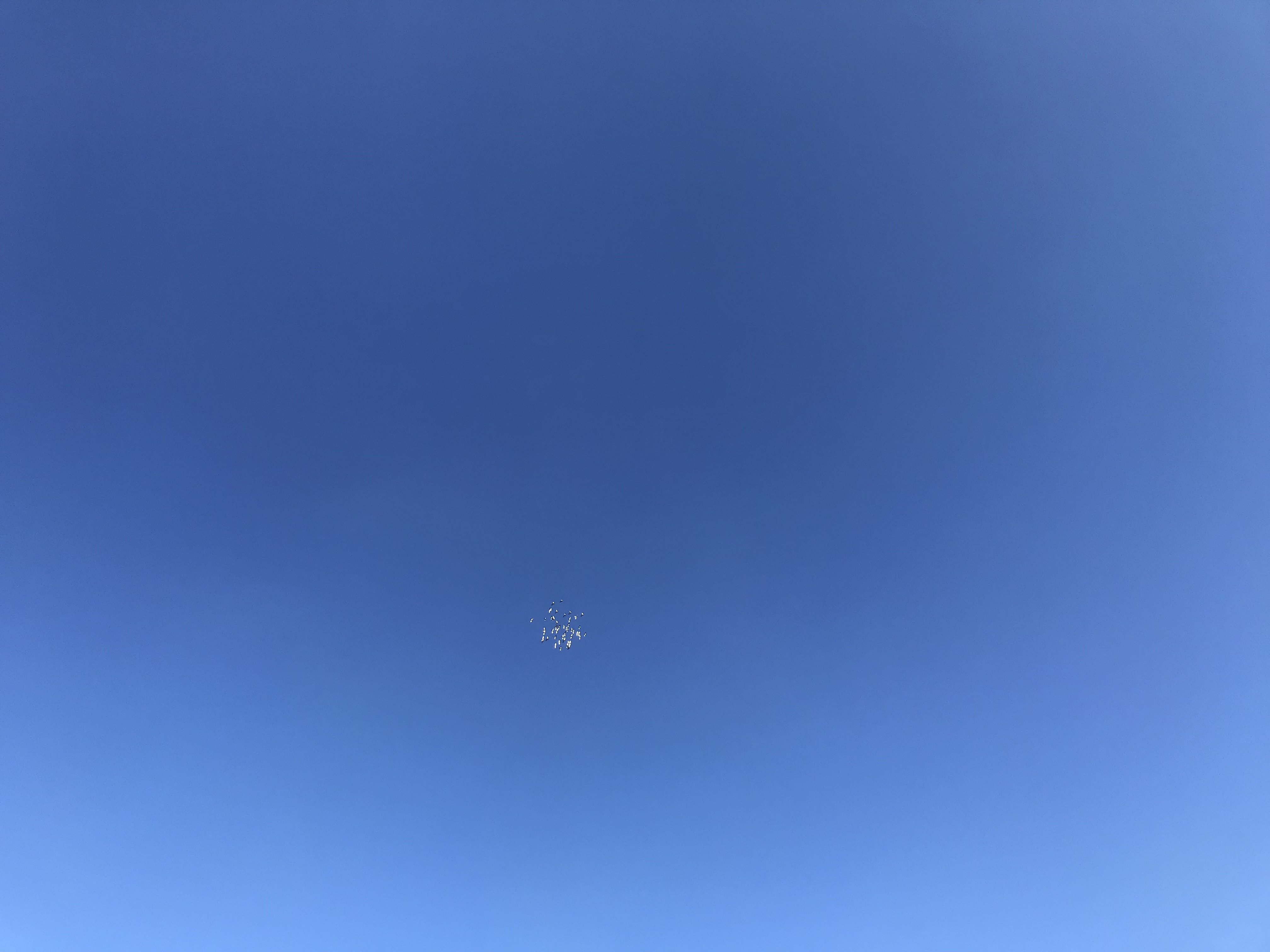 1021/1 1021/1