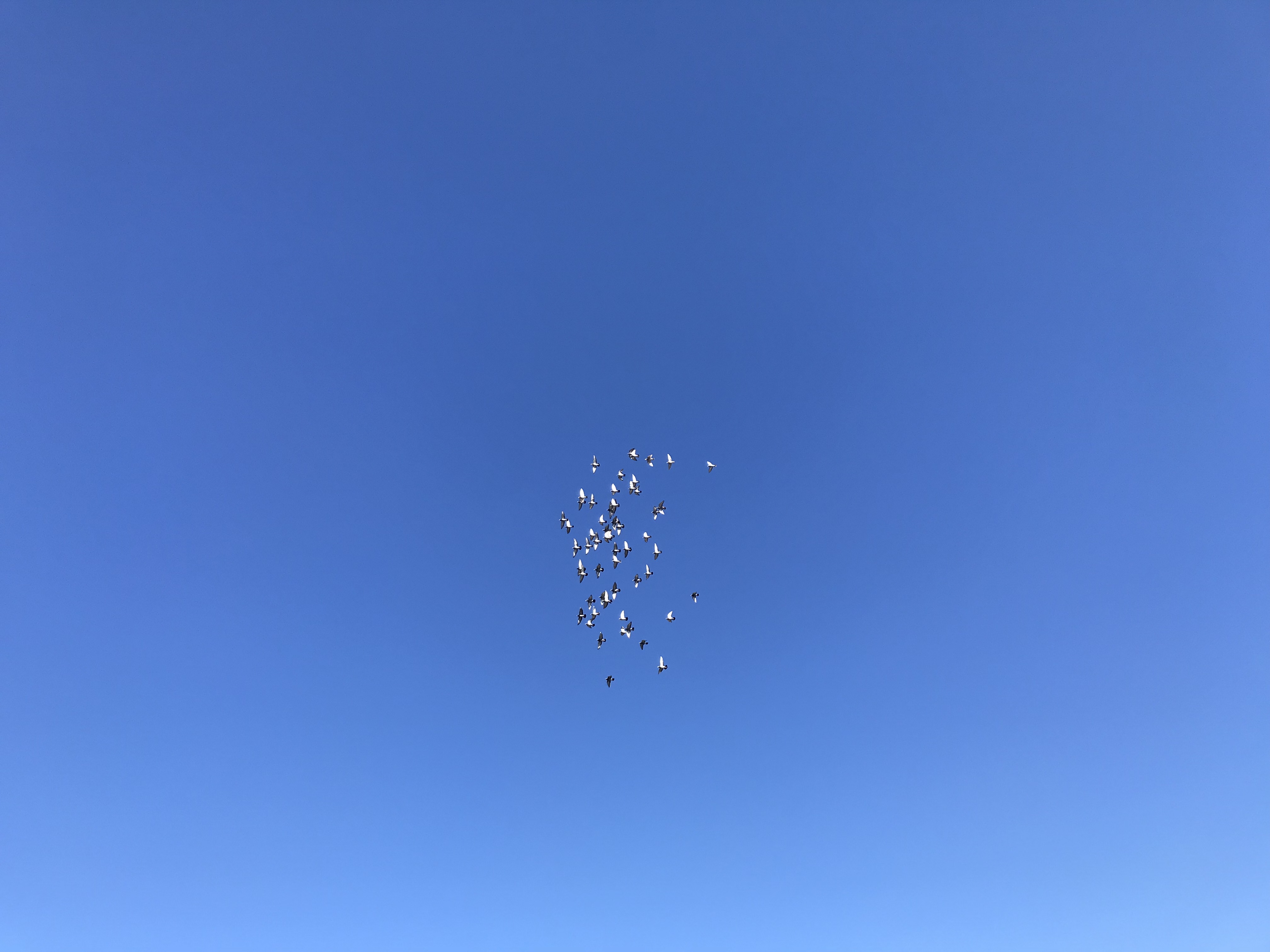 1021/2 1021/2