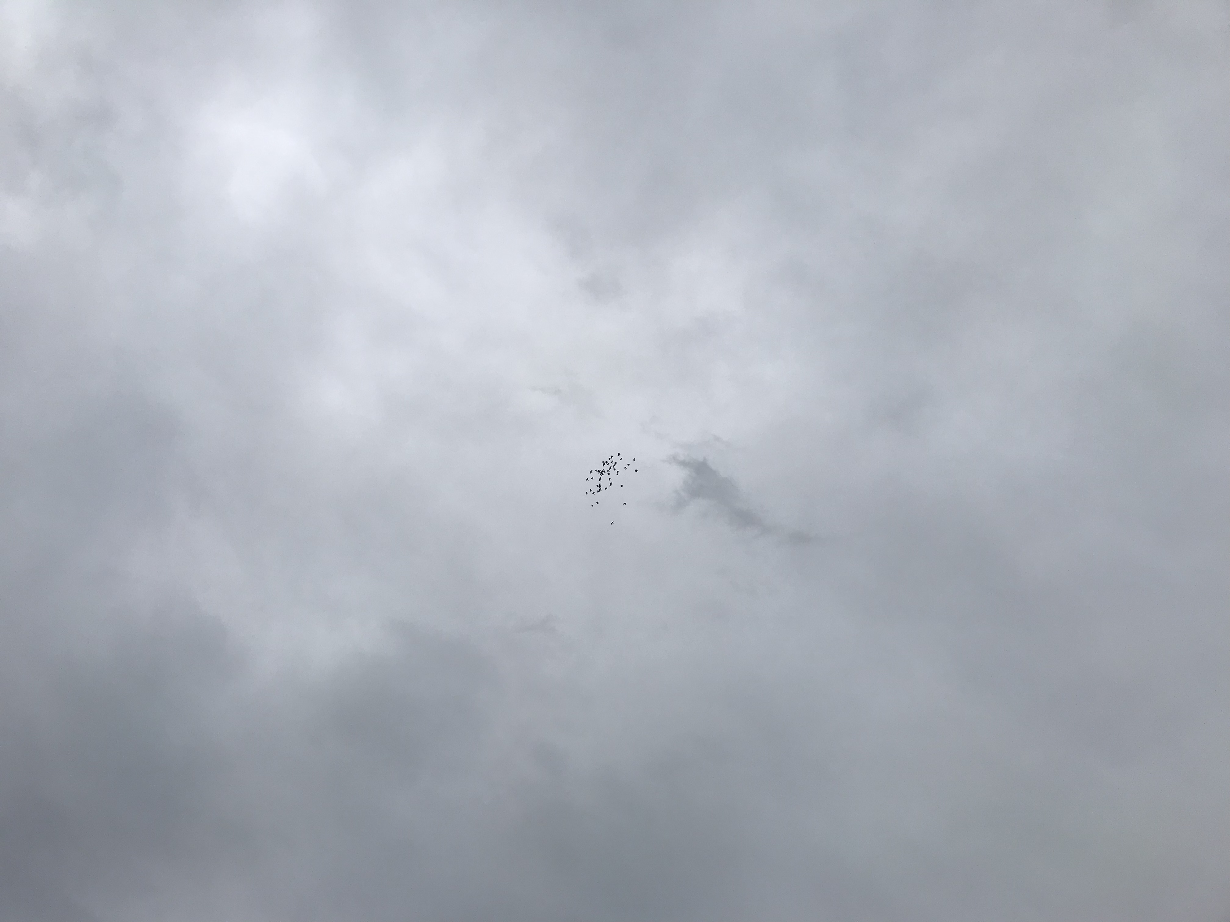 1025/1 1025/1