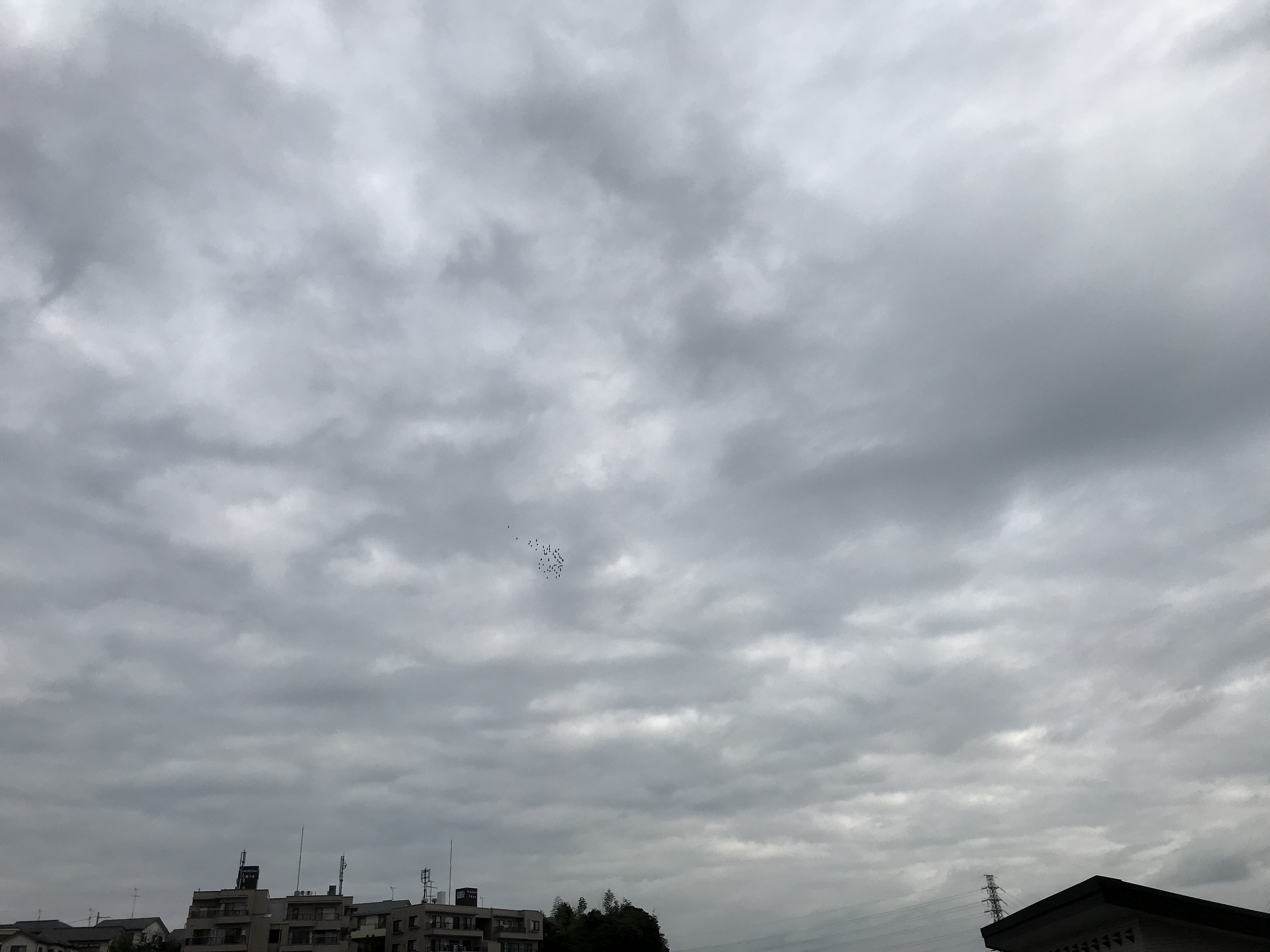 1028/2 1028/2