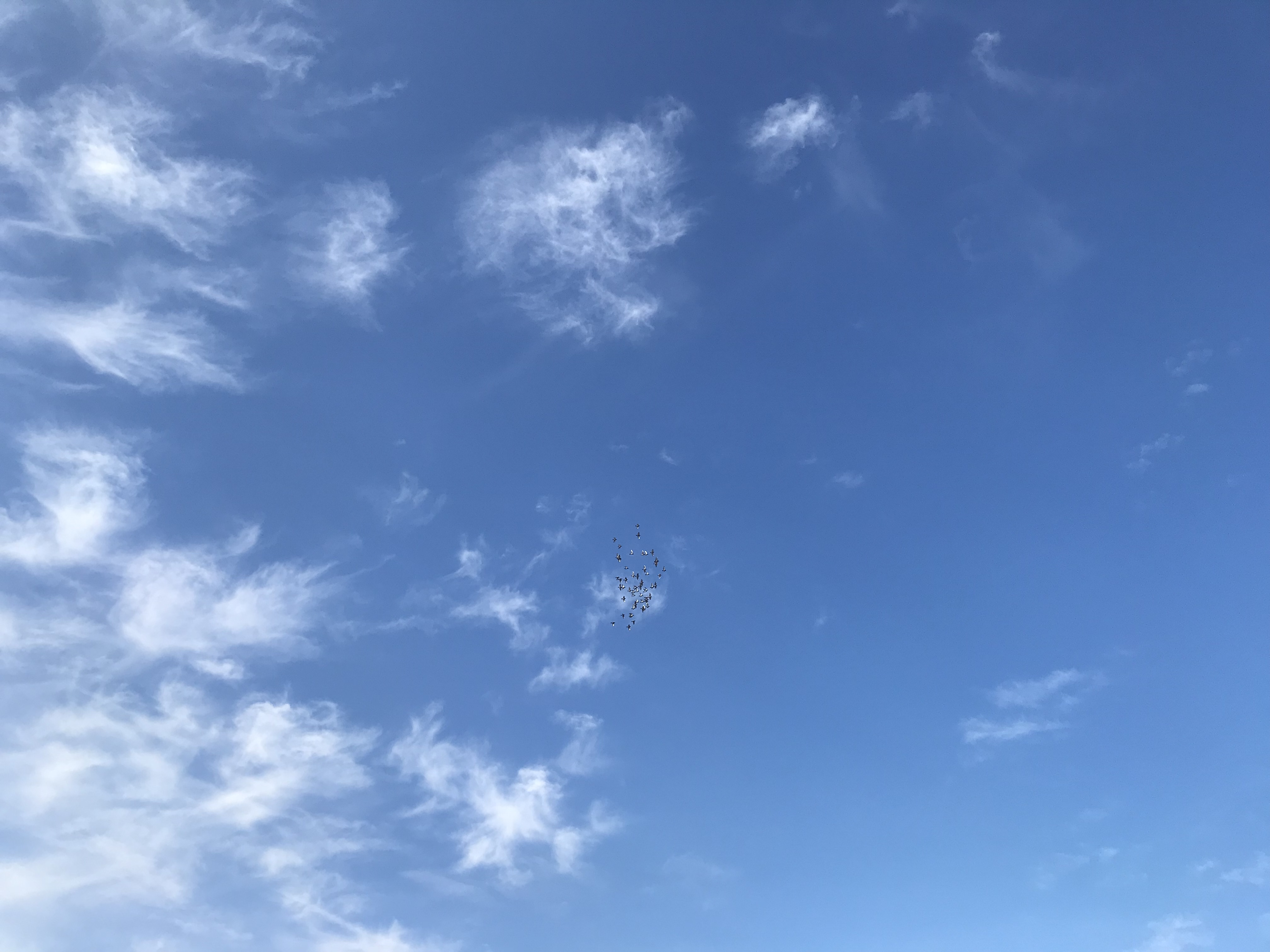 1030/1 1030/1