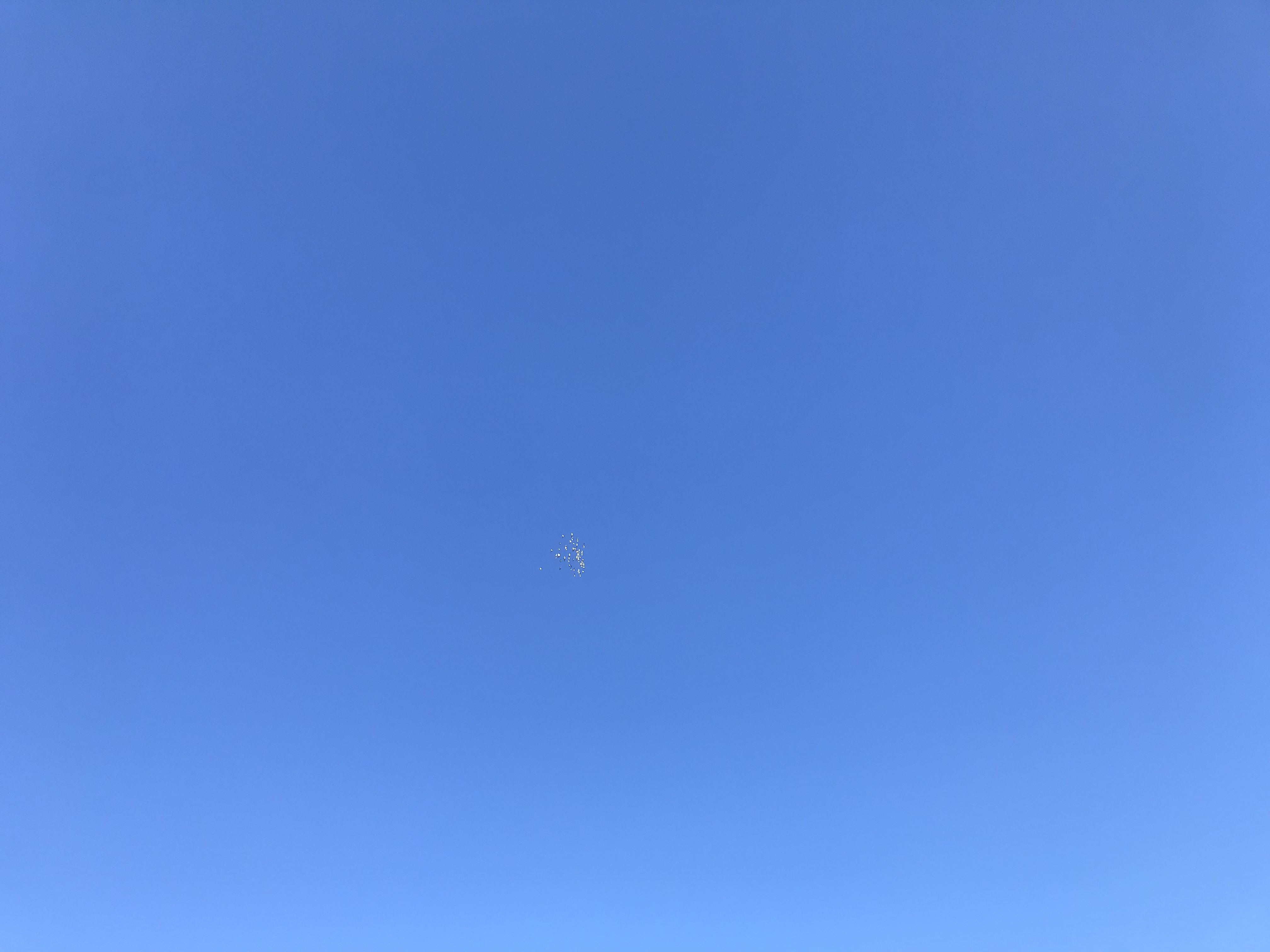 1031/1 1031/1