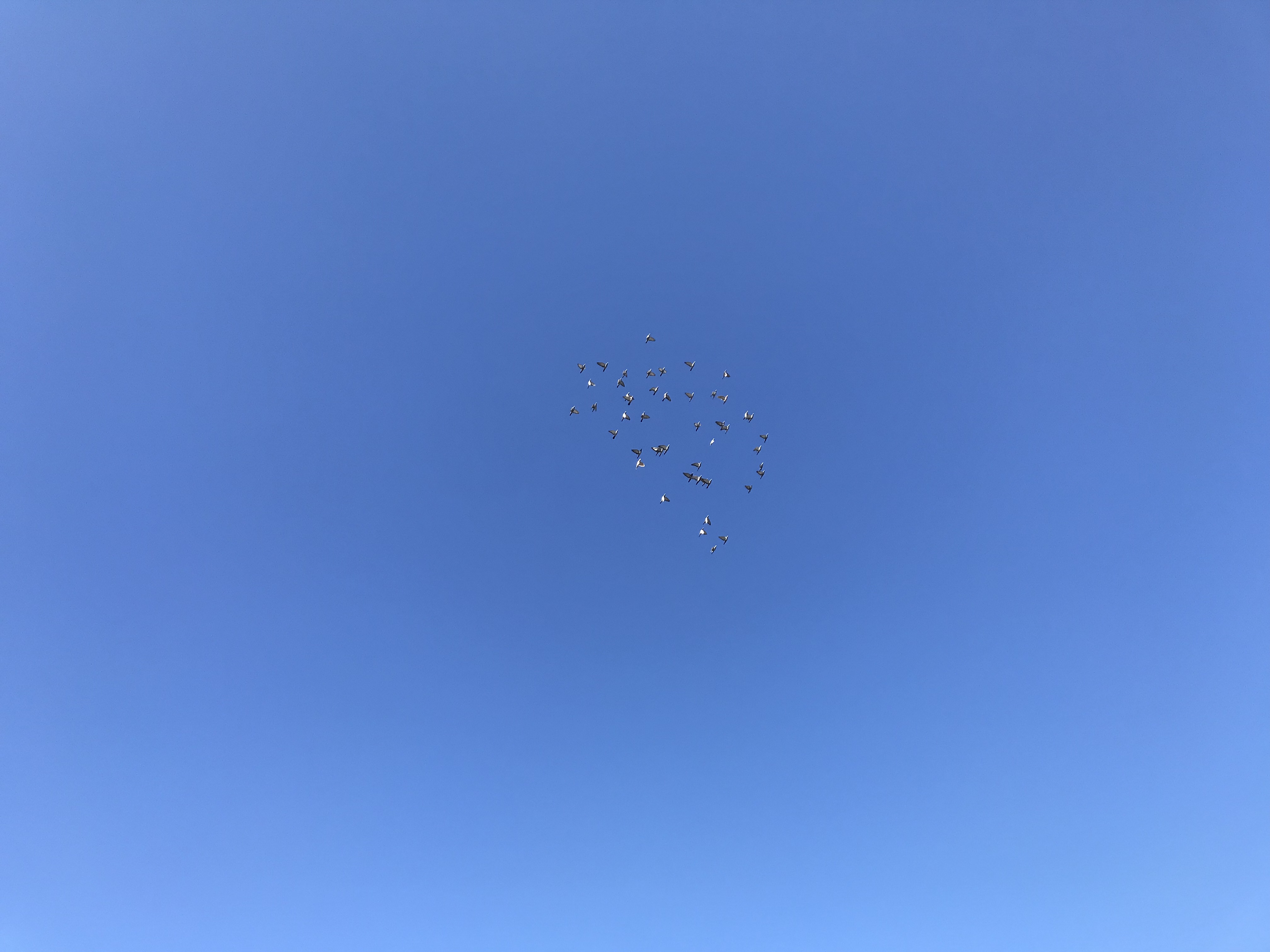 1112/1 1112/1