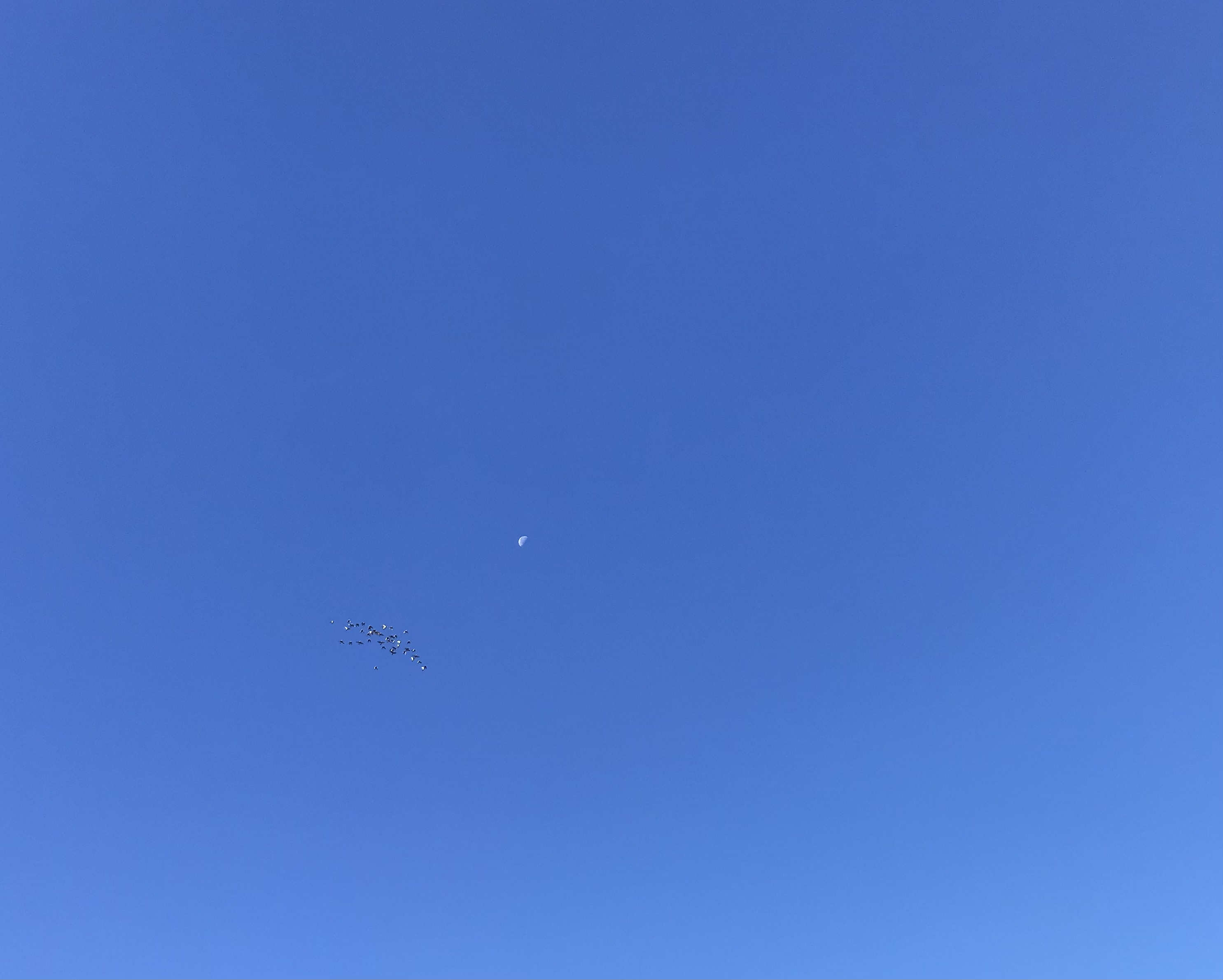 1116/1