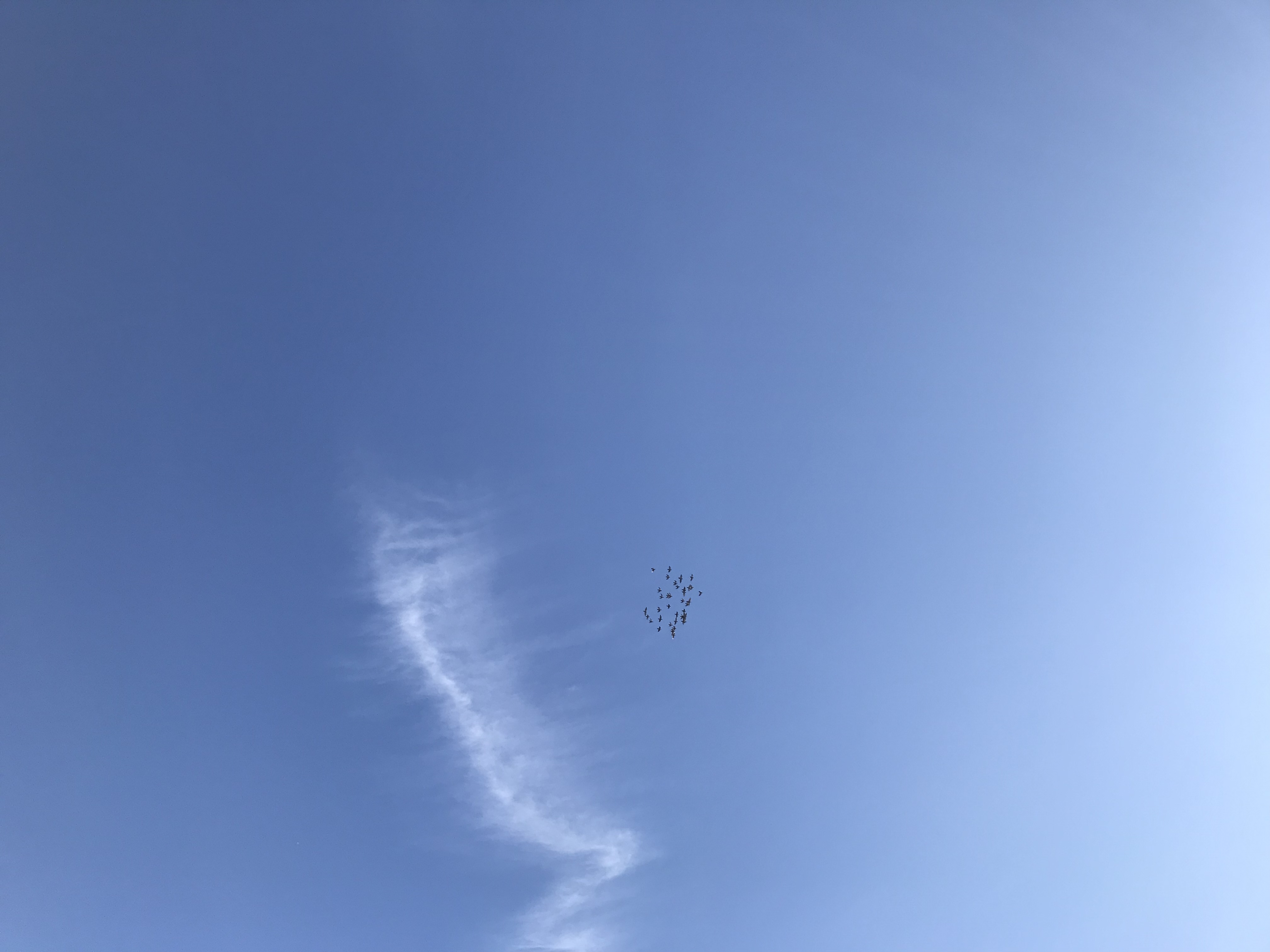1122/1 1122/1