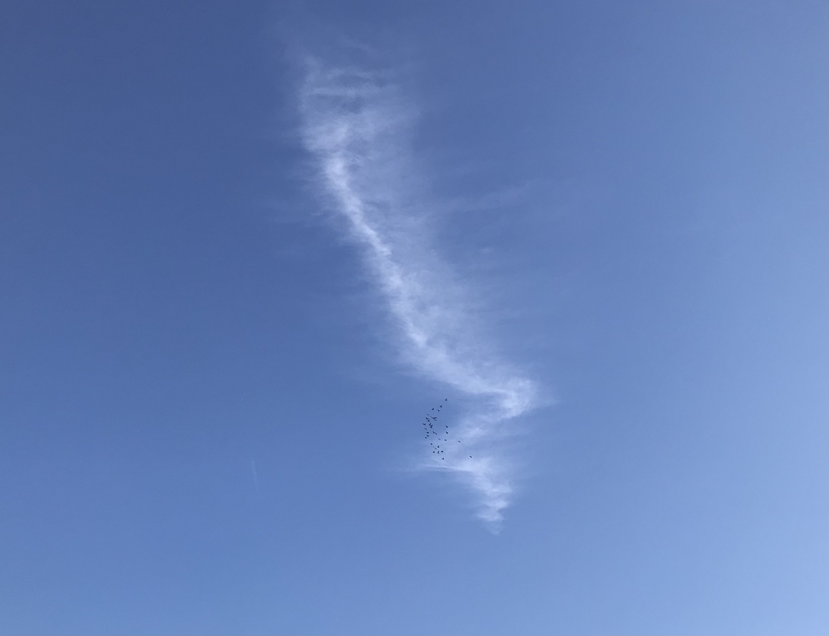 1122/2 1122/2