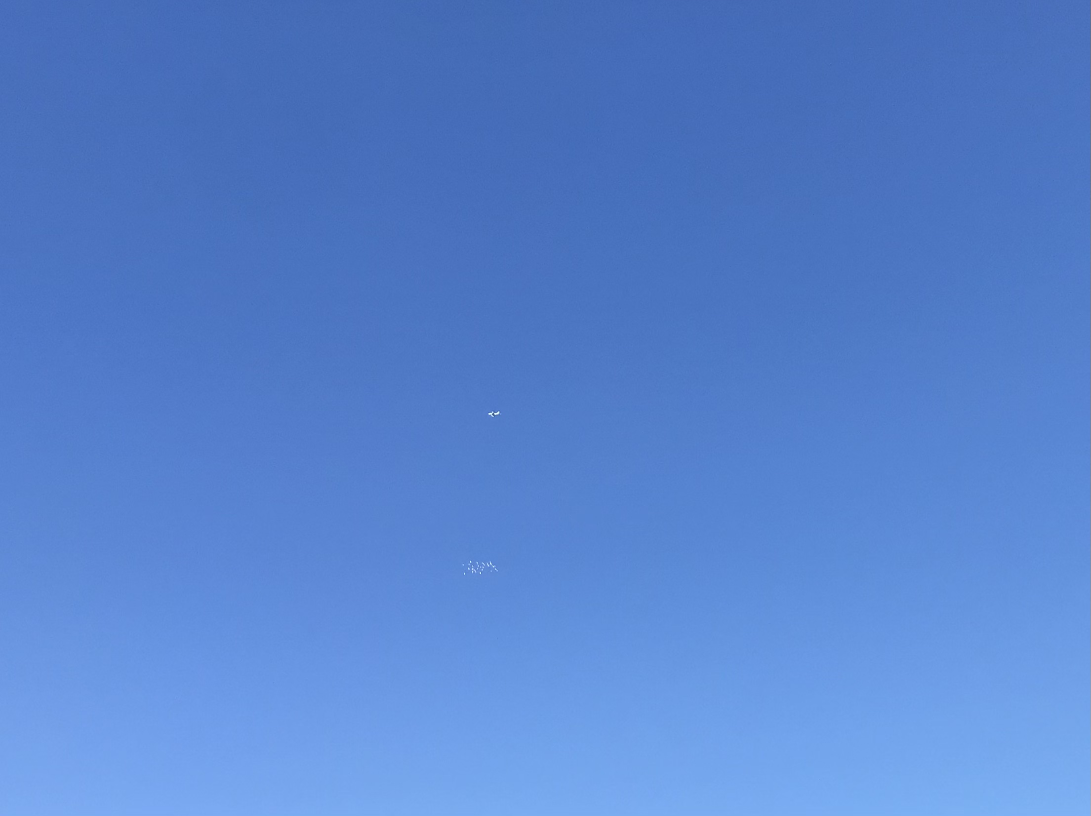 1226/4