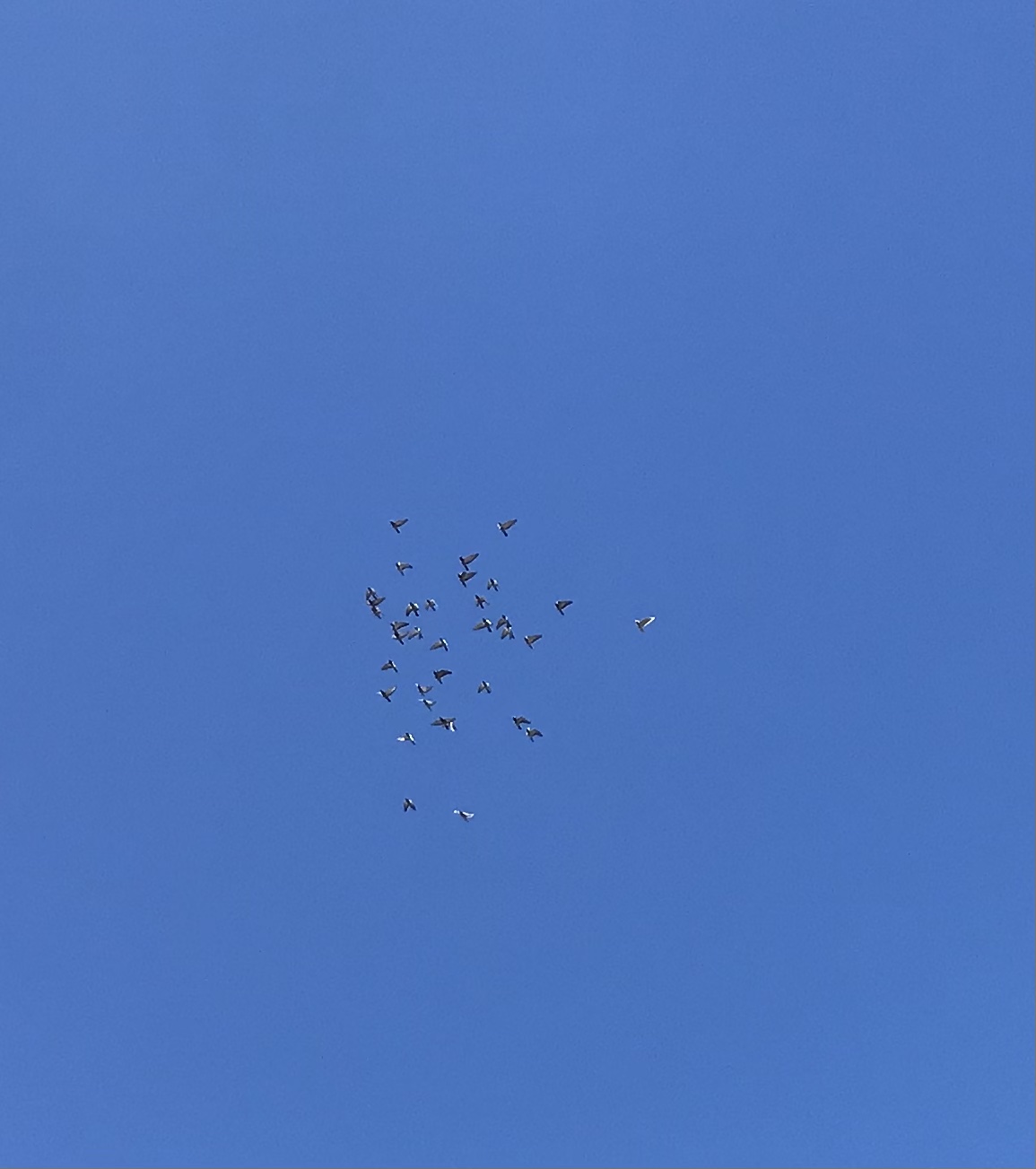 0109:1