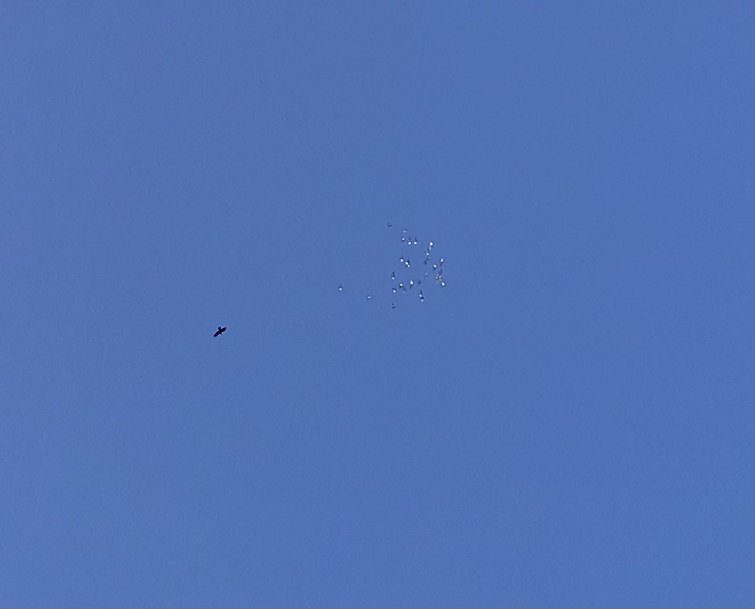 0113:2