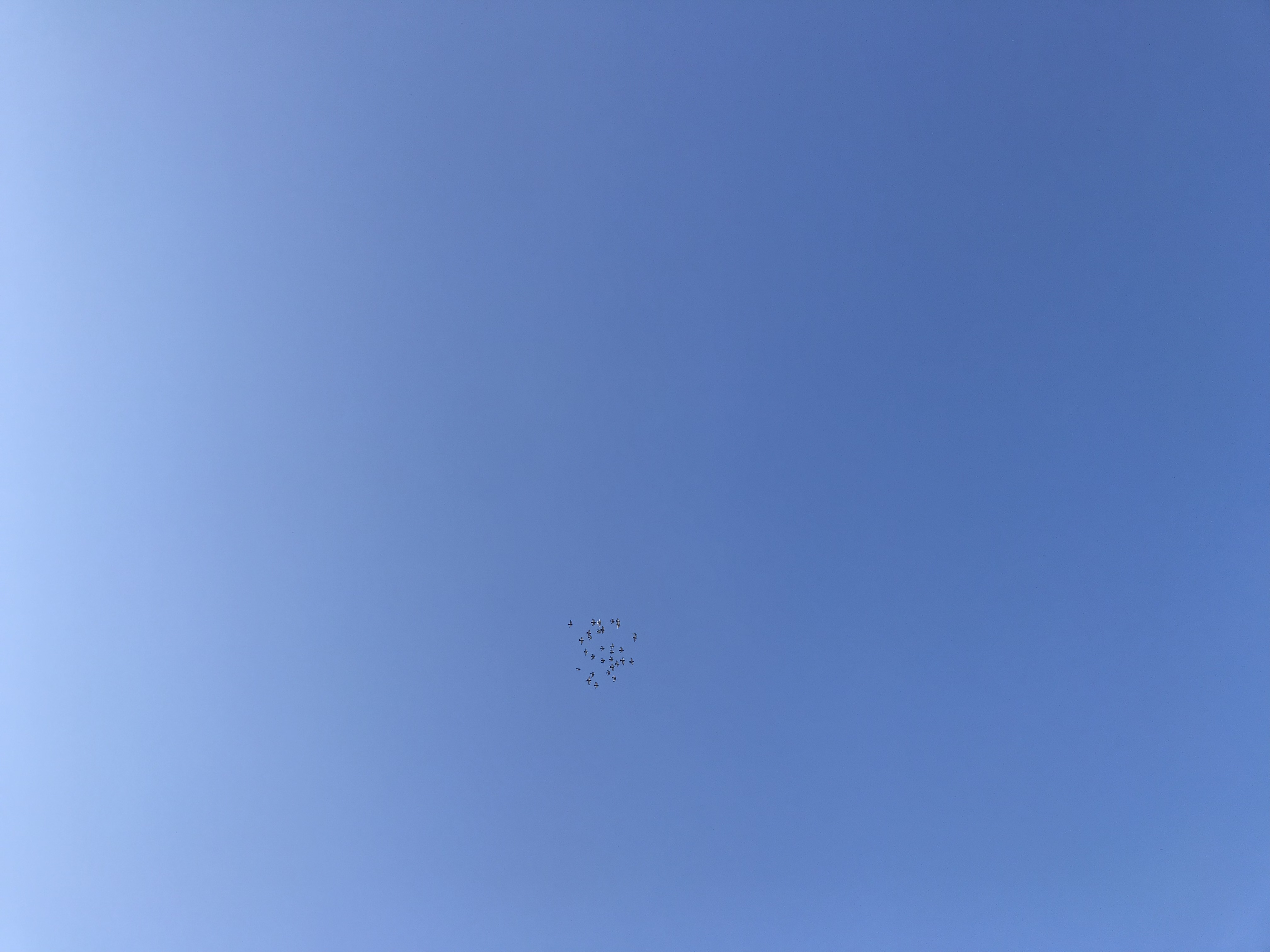 0113:3