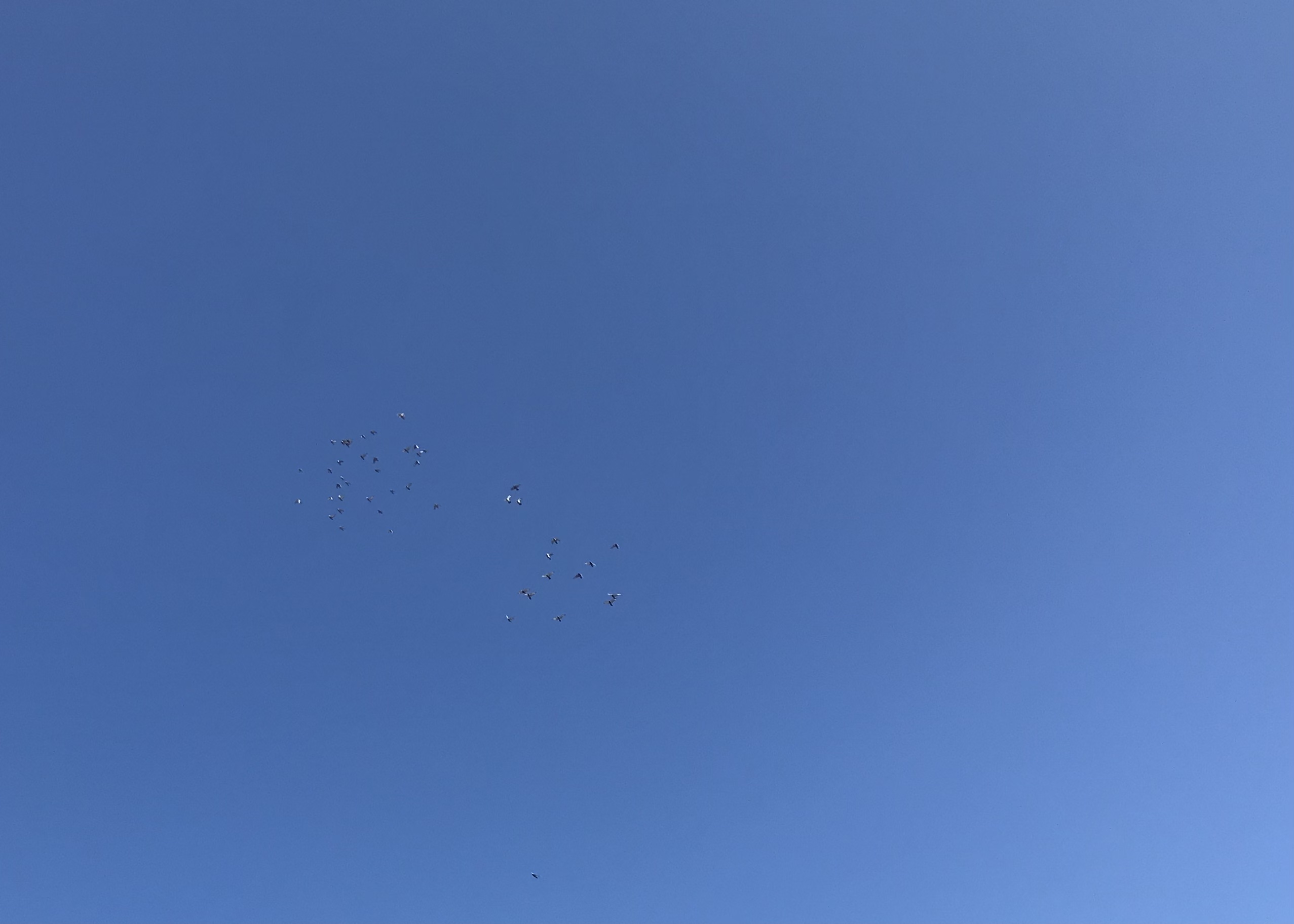 0805:1