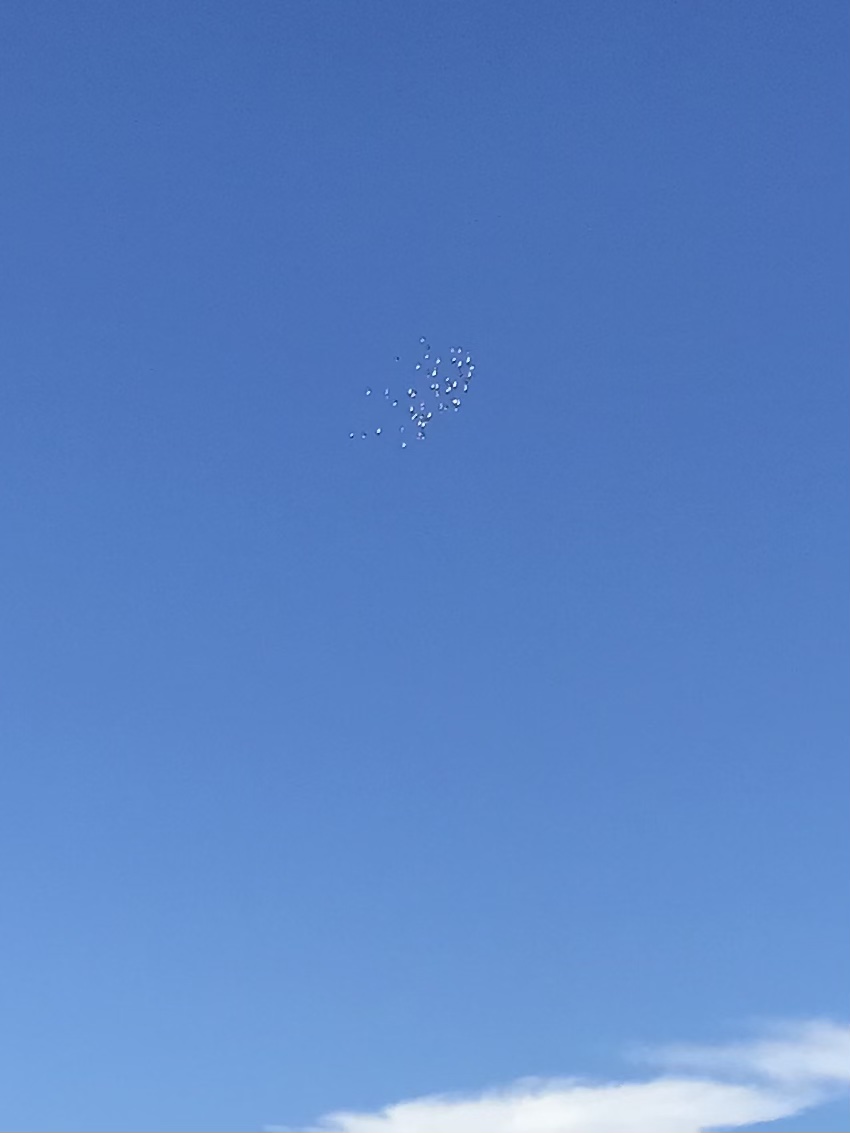 0905:2