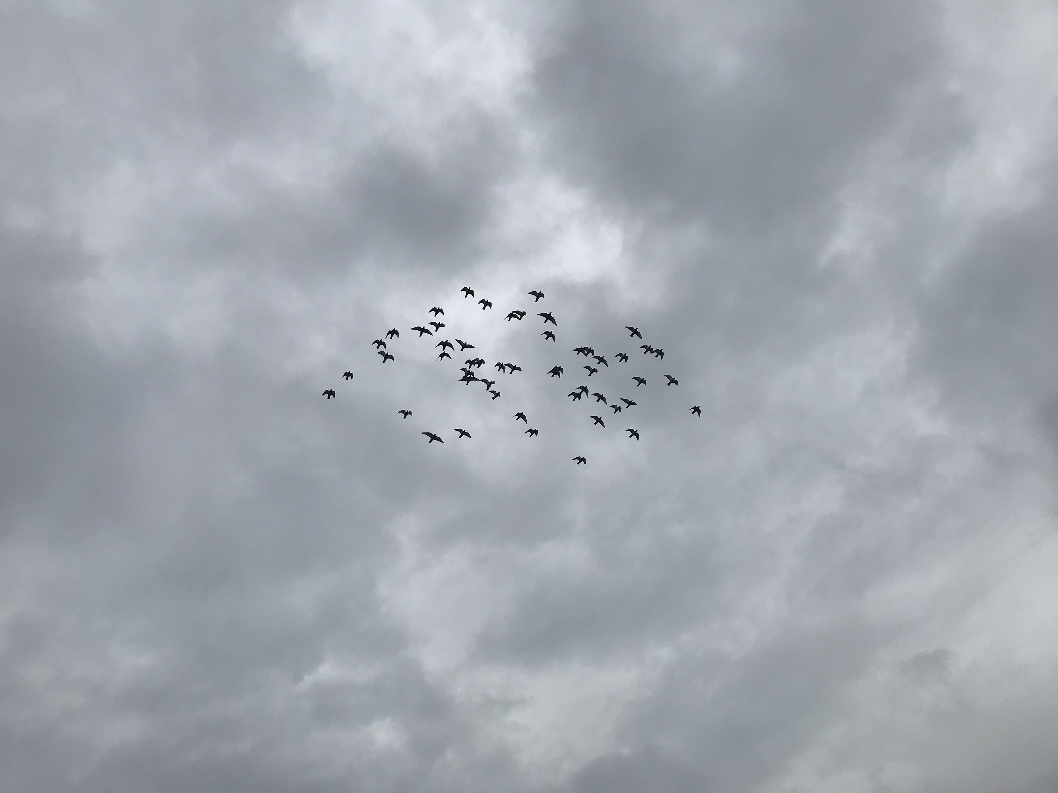 1004:1