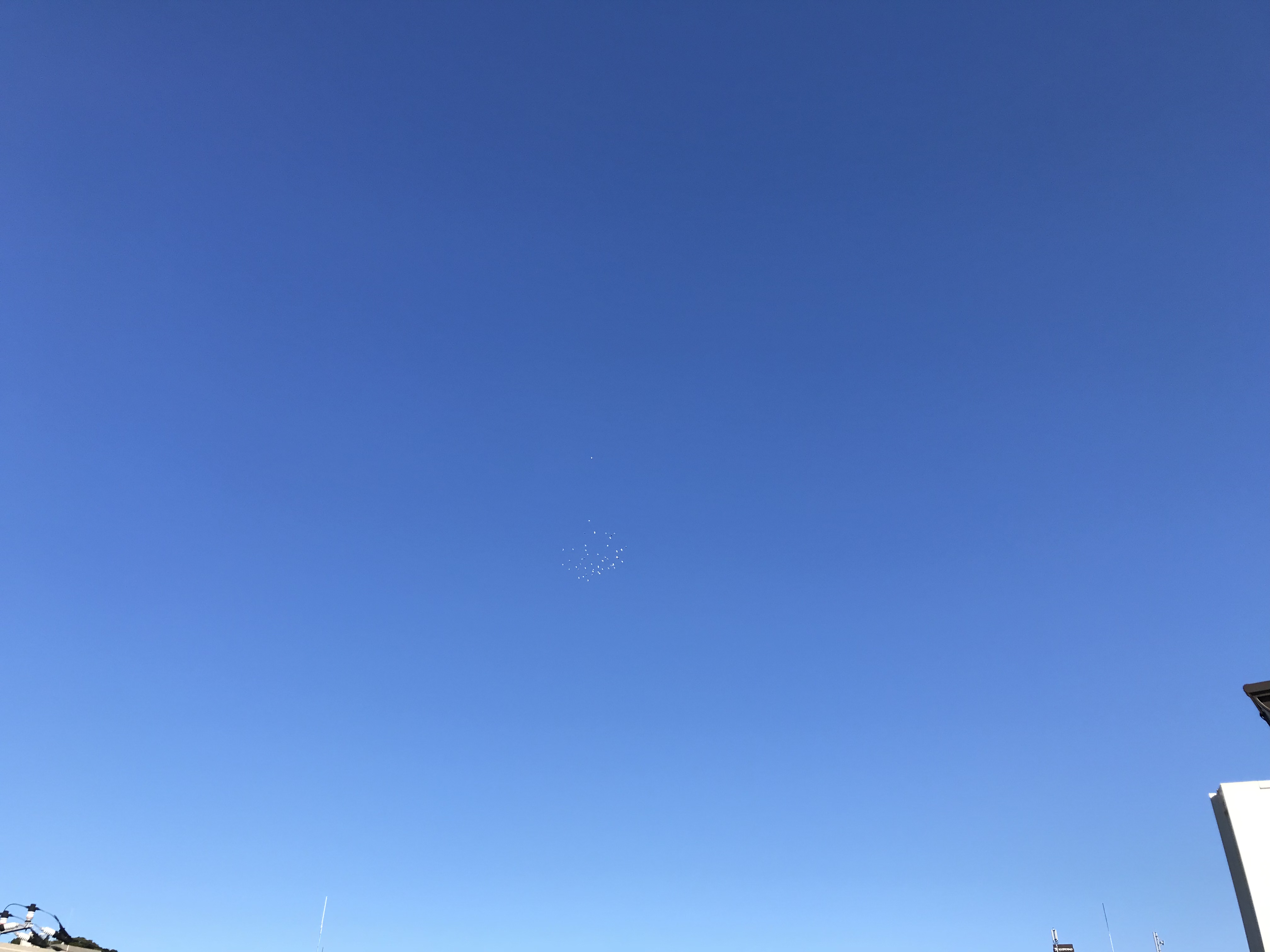 1016:1
