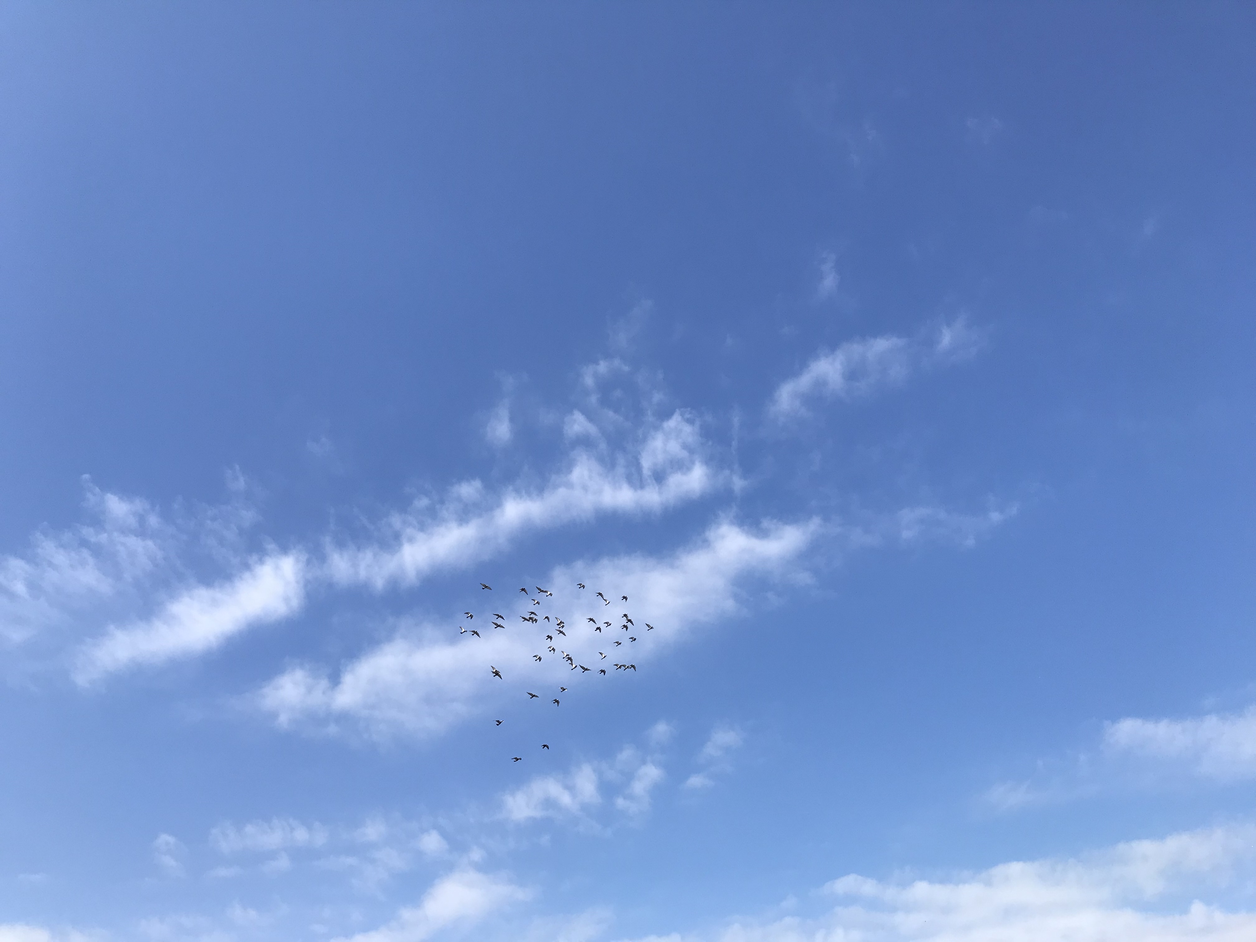 1018:1