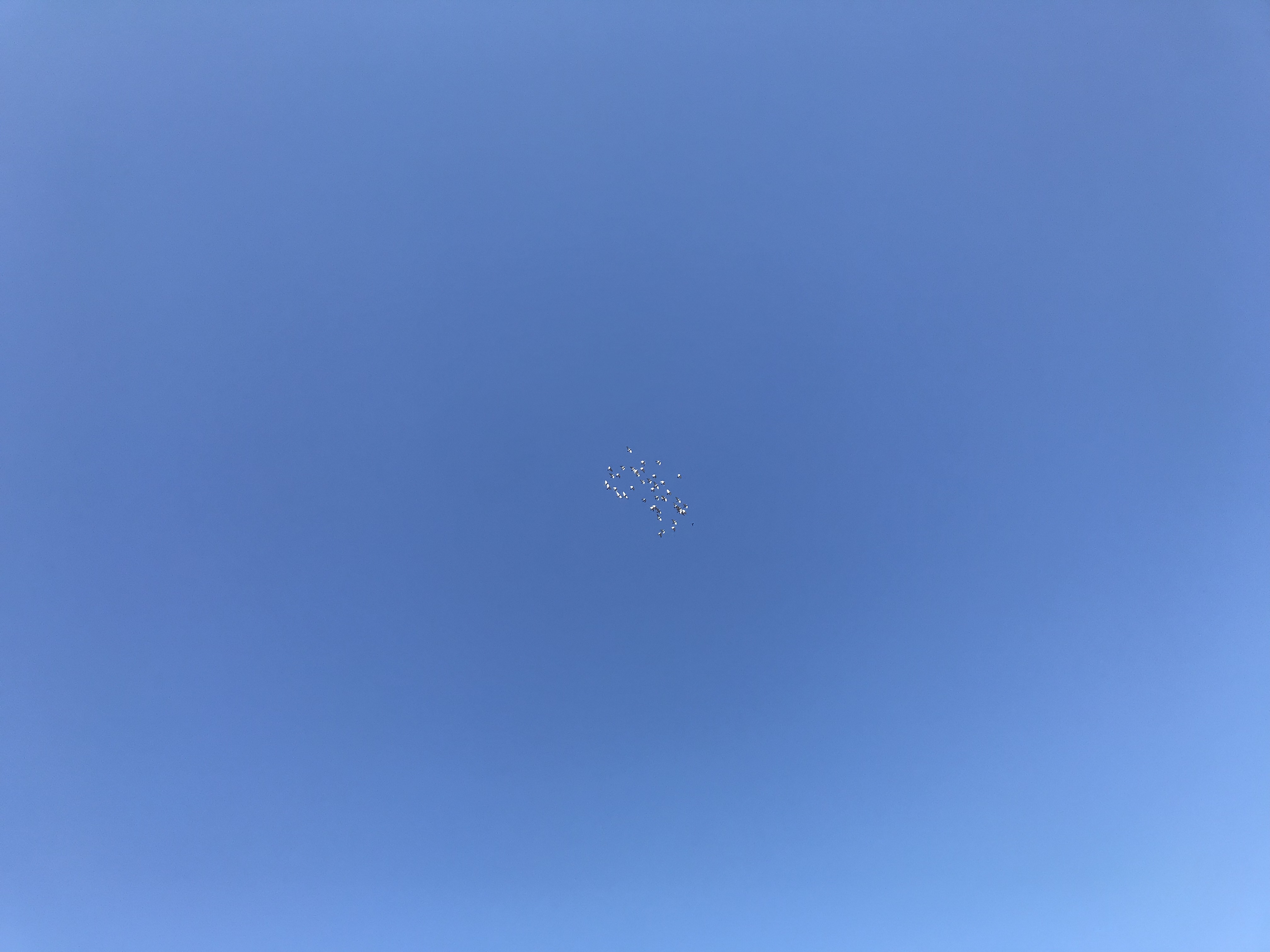 1102:1