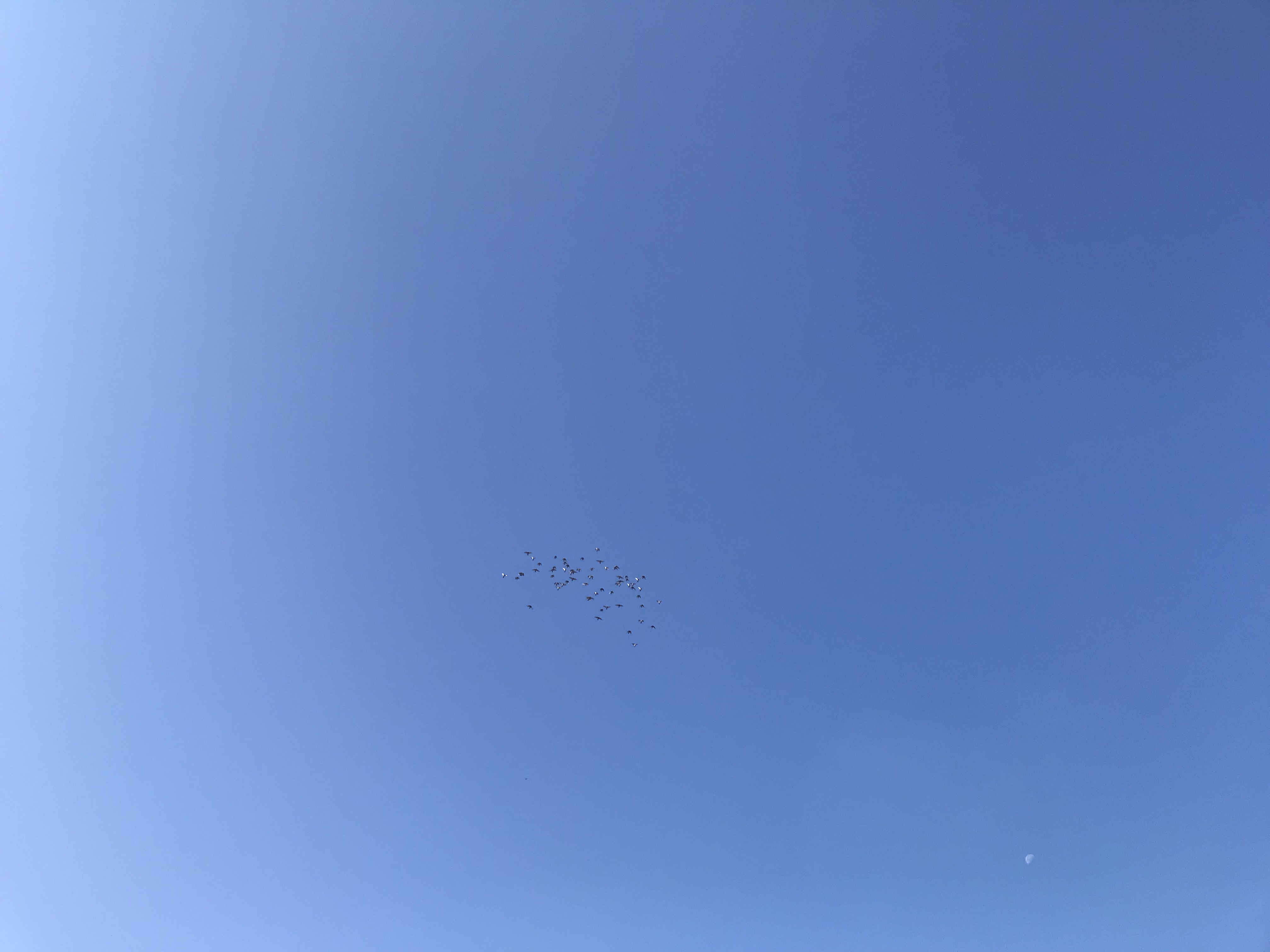 1104:2