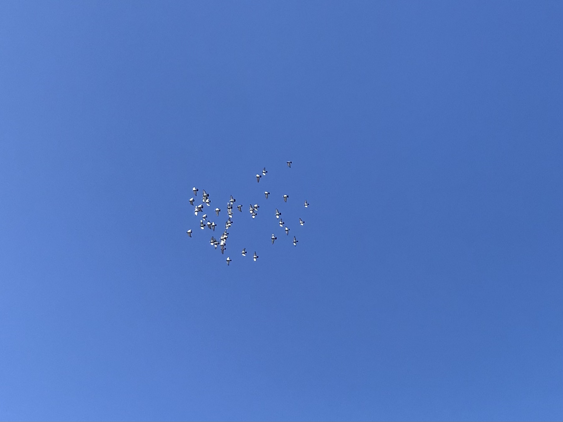 1108:1