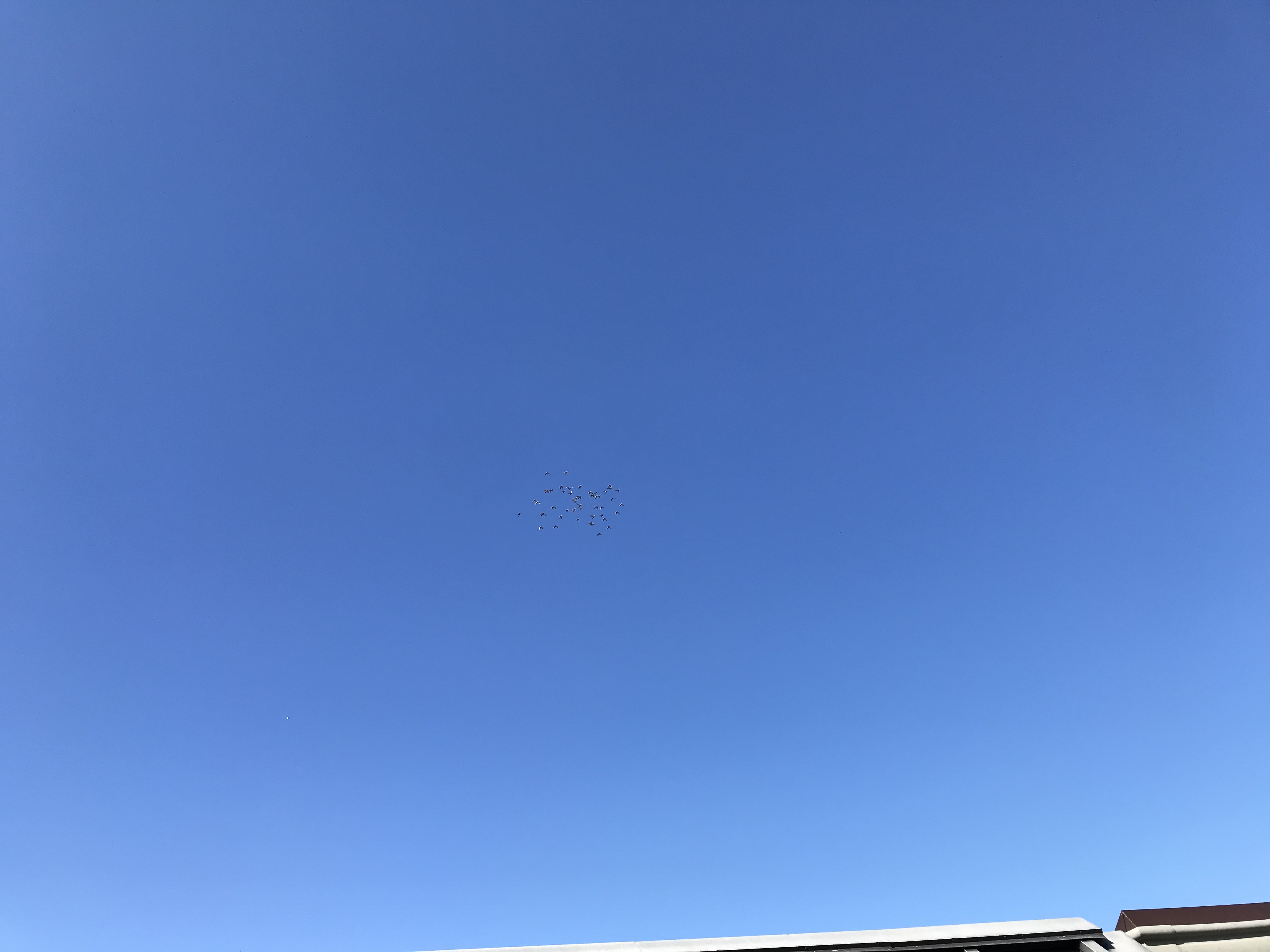 1108:2