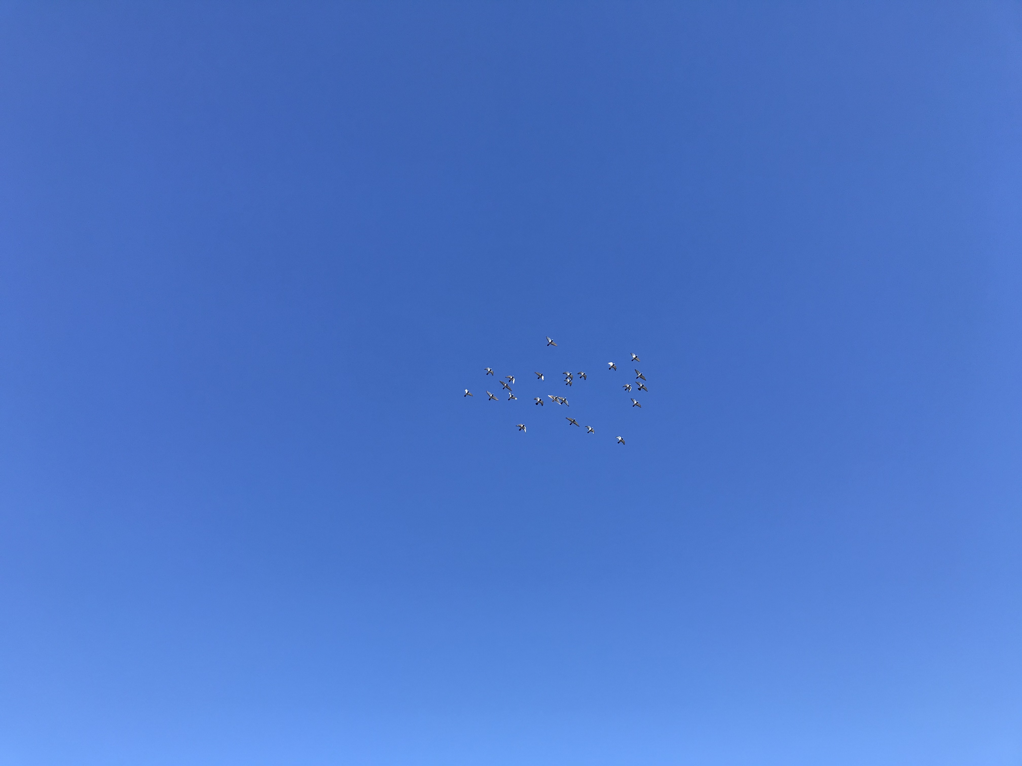 1119:1