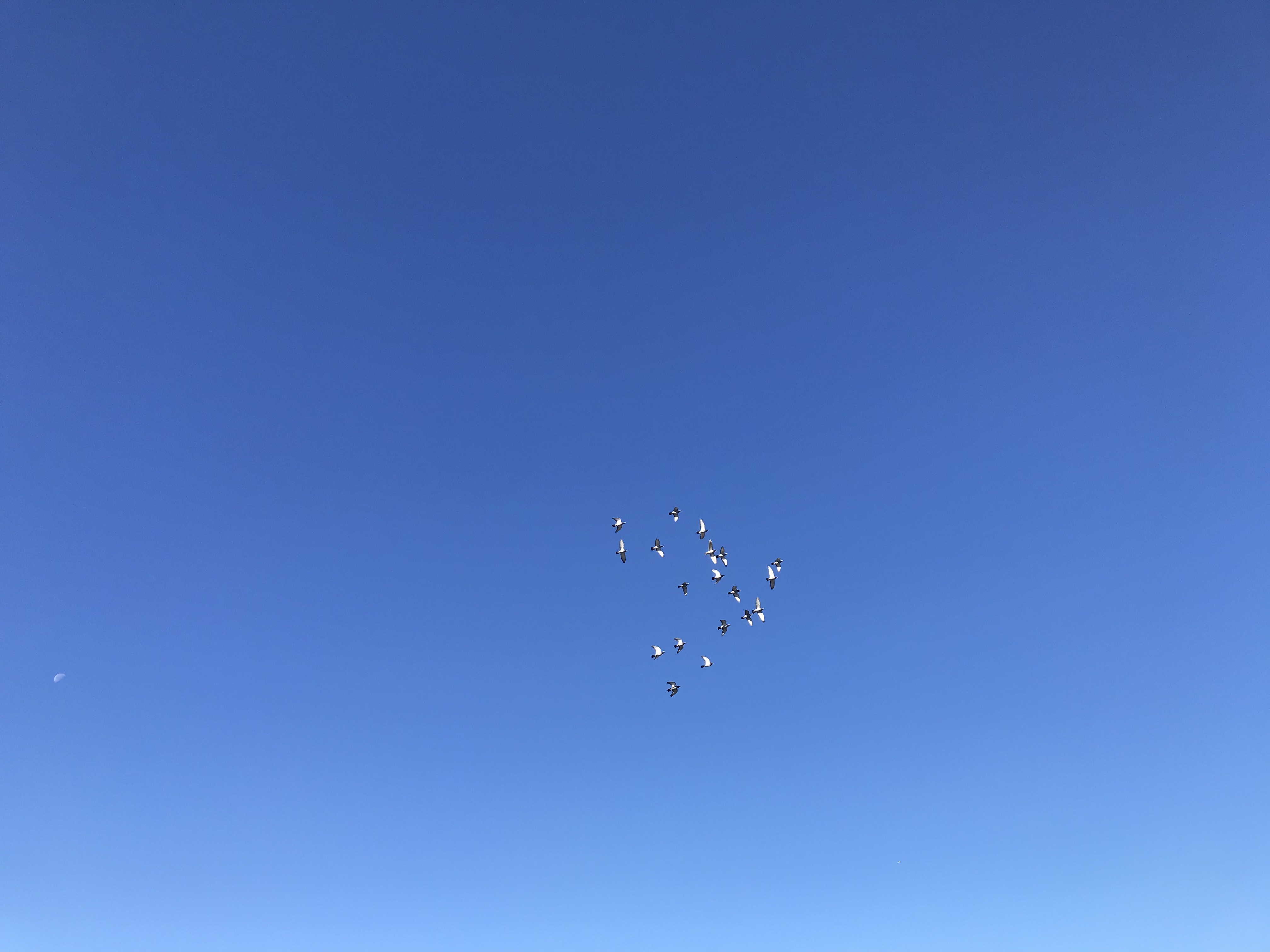 1204:1