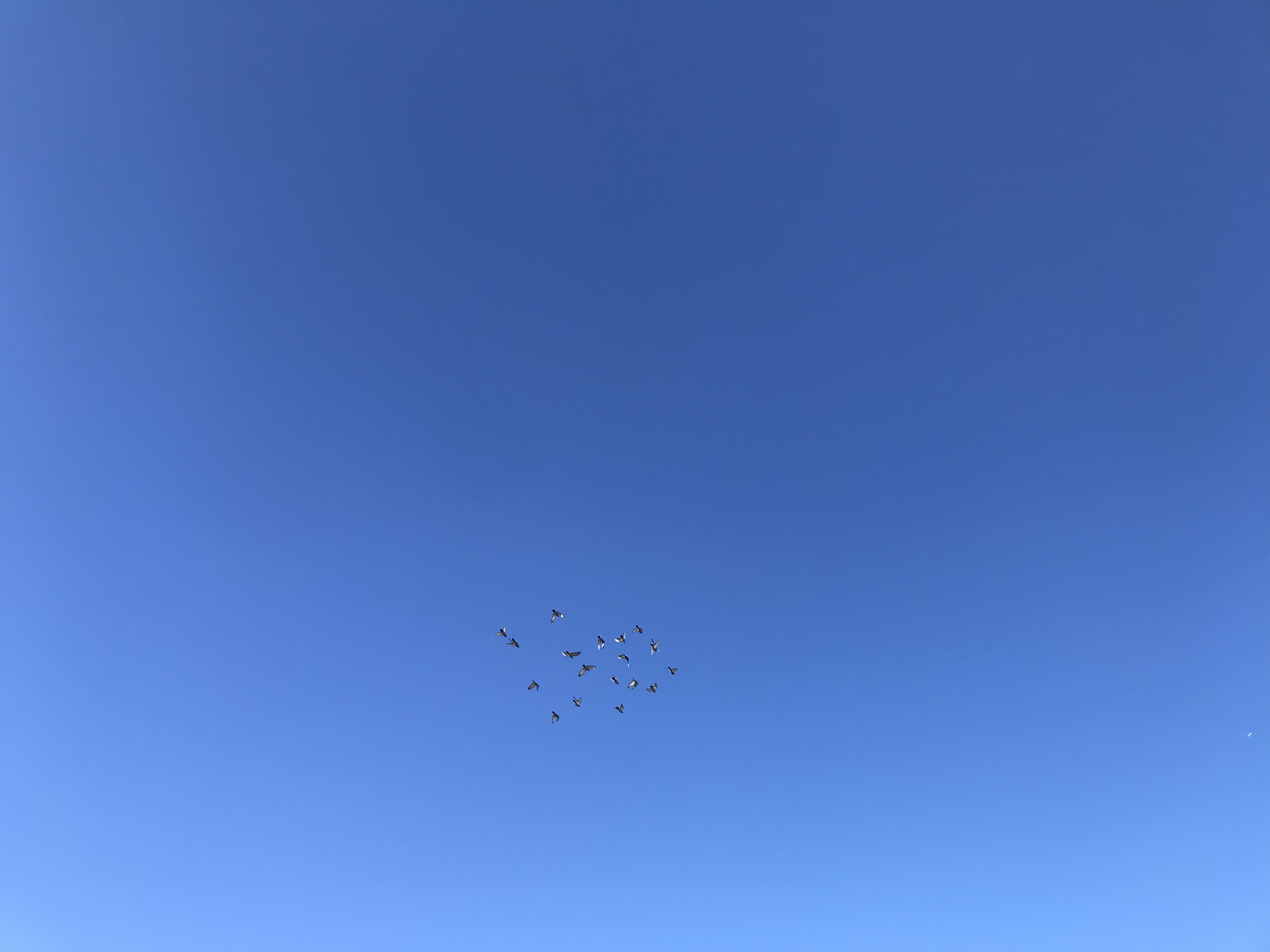1217:1